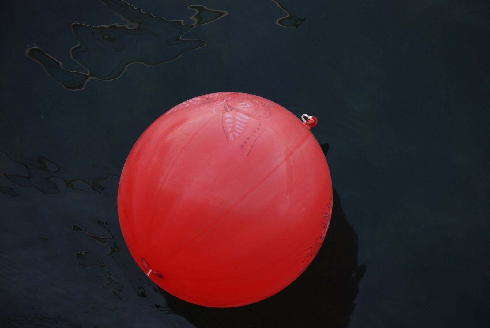Nikon D80 sample photo. Balloon, water, tale photography