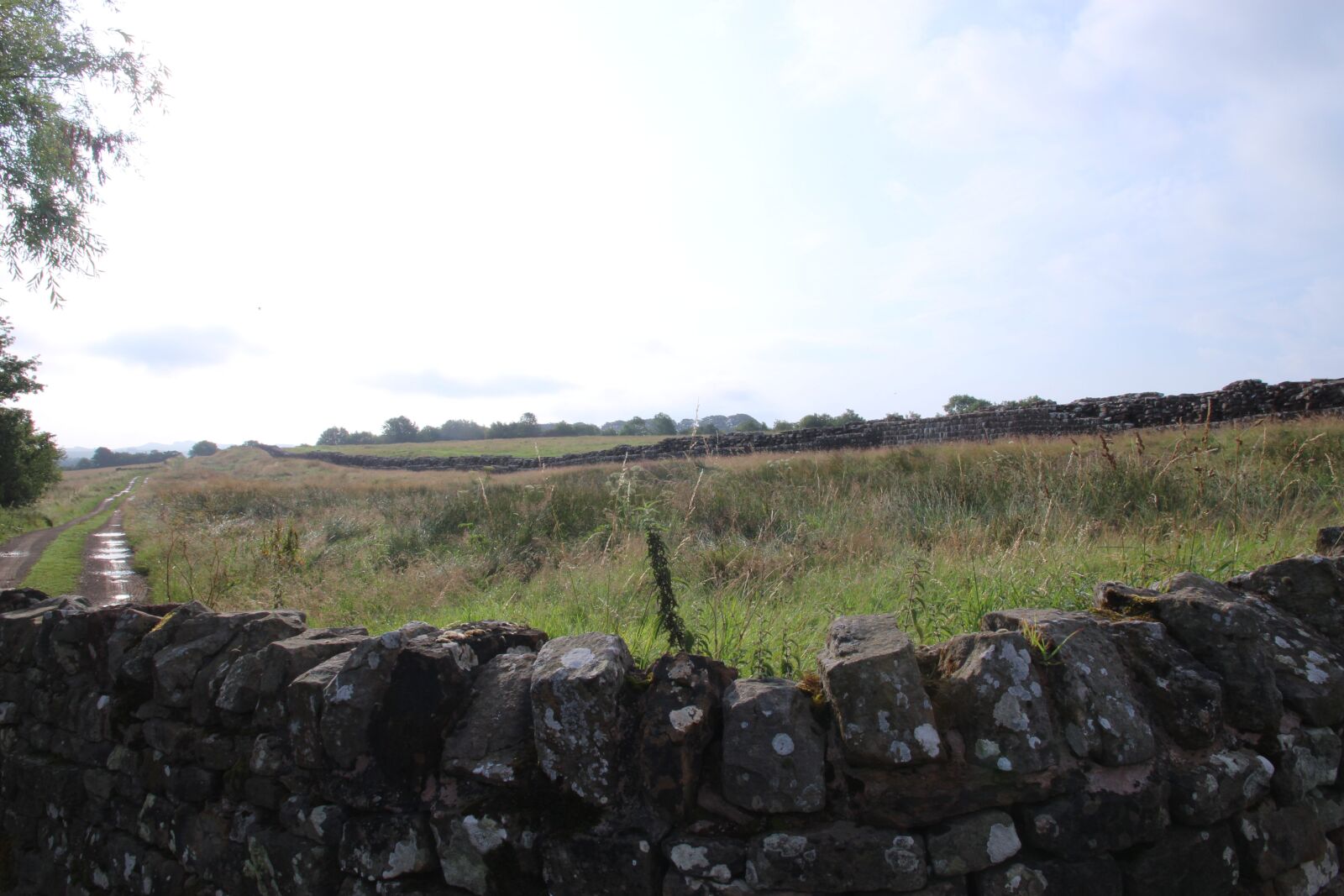 Canon EOS 700D (EOS Rebel T5i / EOS Kiss X7i) sample photo. Adrien, wall, scotland photography