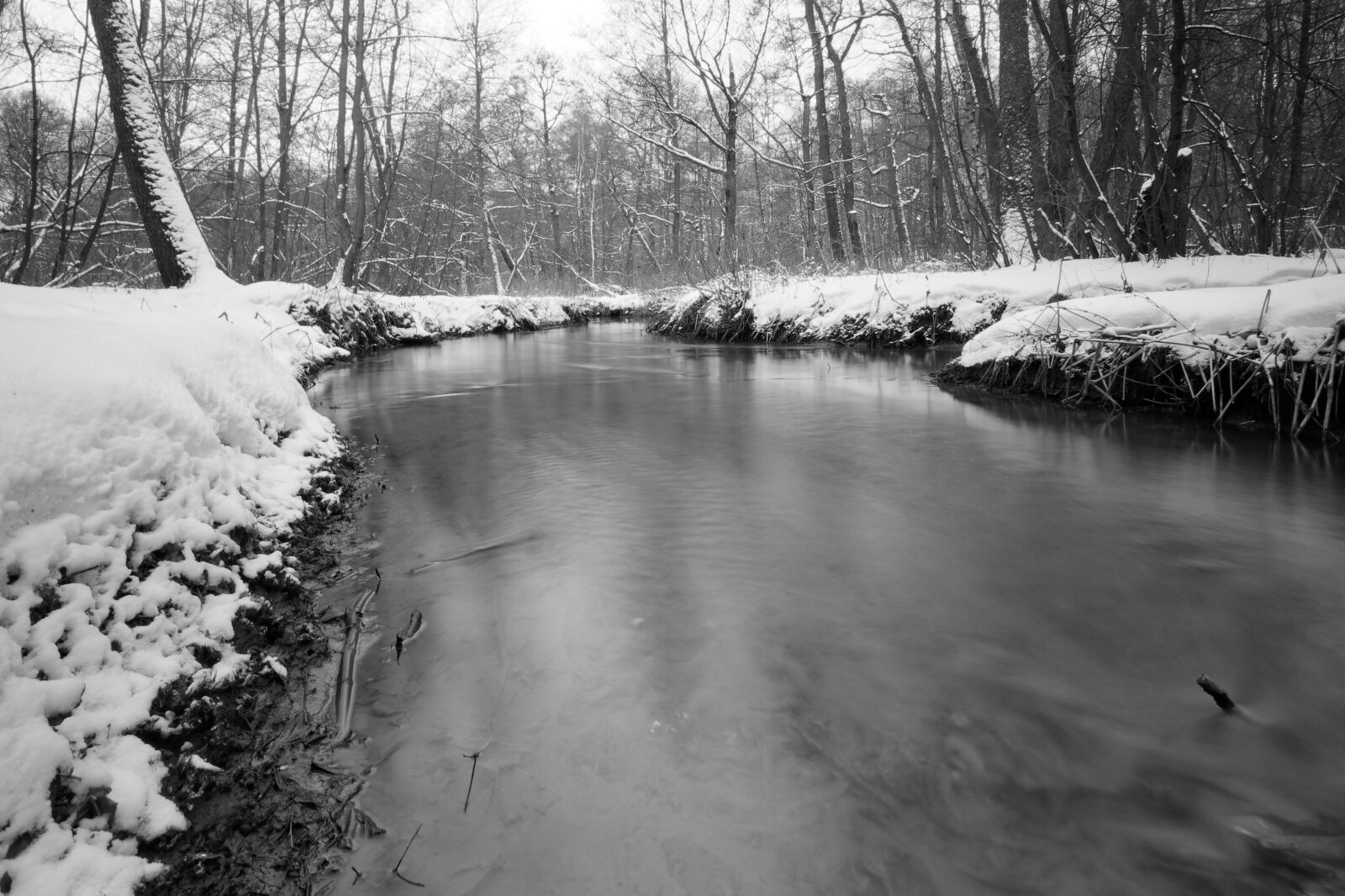 Canon EOS 500D (EOS Rebel T1i / EOS Kiss X3) sample photo. Winter, river, beach photography