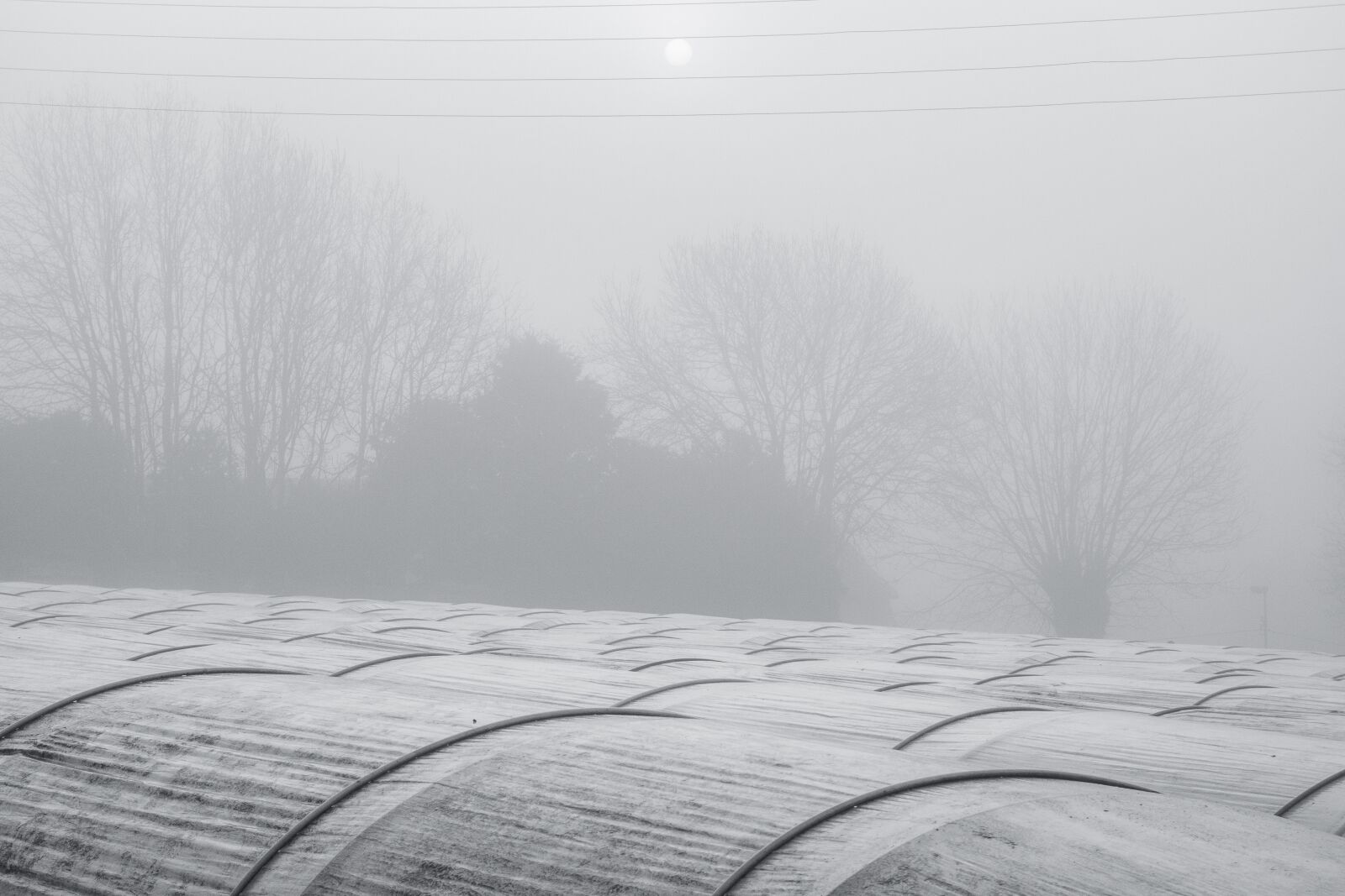 Sony Cyber-shot DSC-RX100 sample photo. Landscape, mist, fog photography