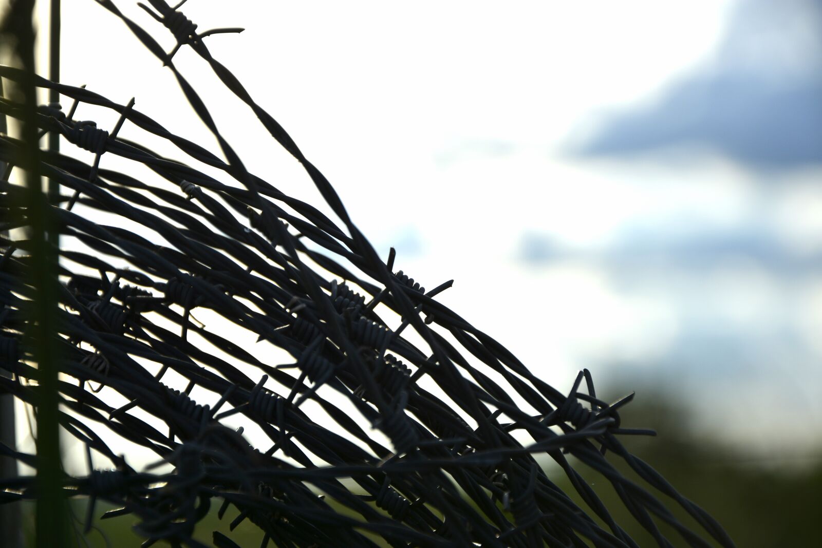 Nikon D7100 sample photo. Wire, about, farm photography
