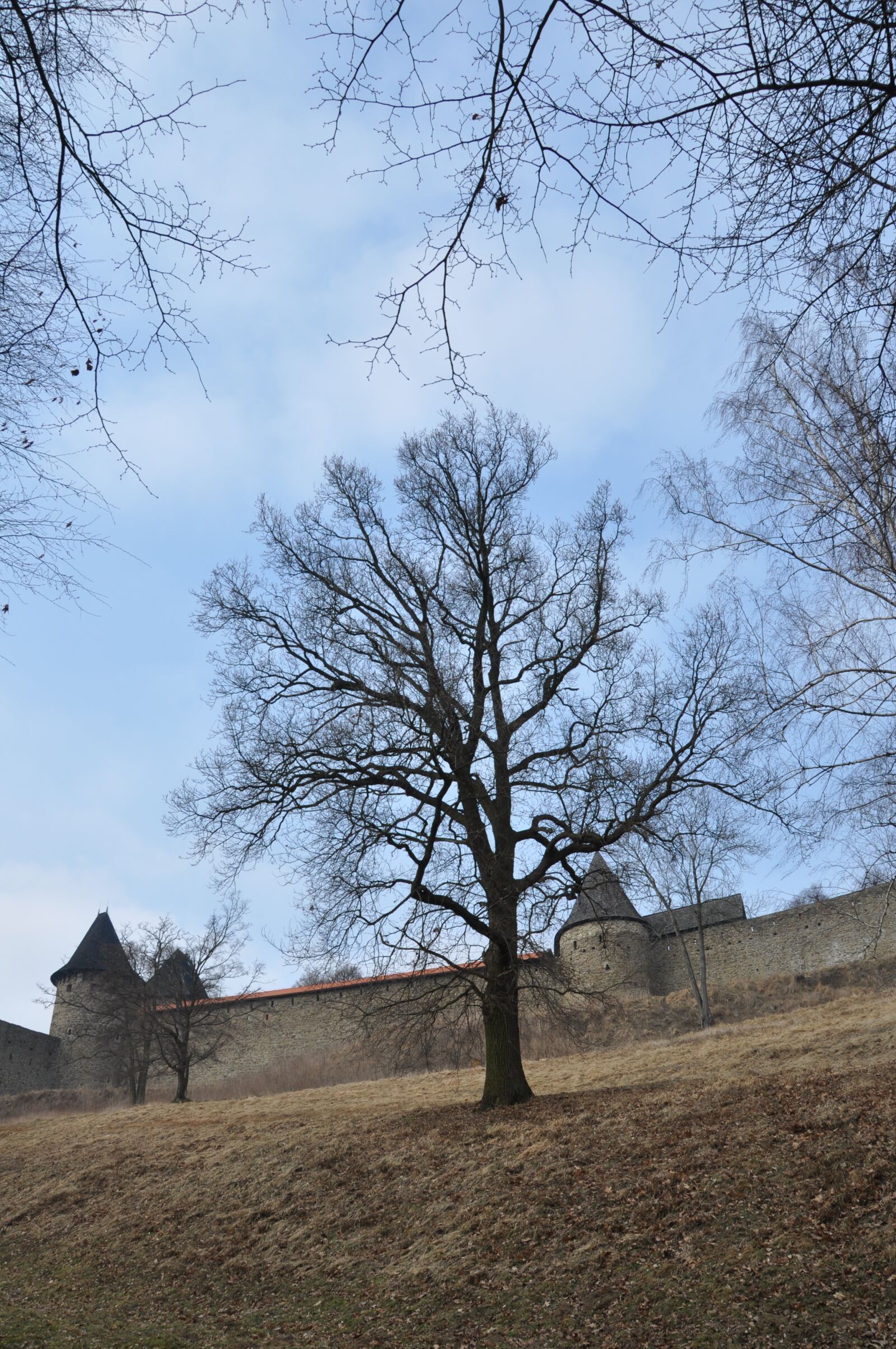 Nikon D90 sample photo. Castle, monument, architecture photography
