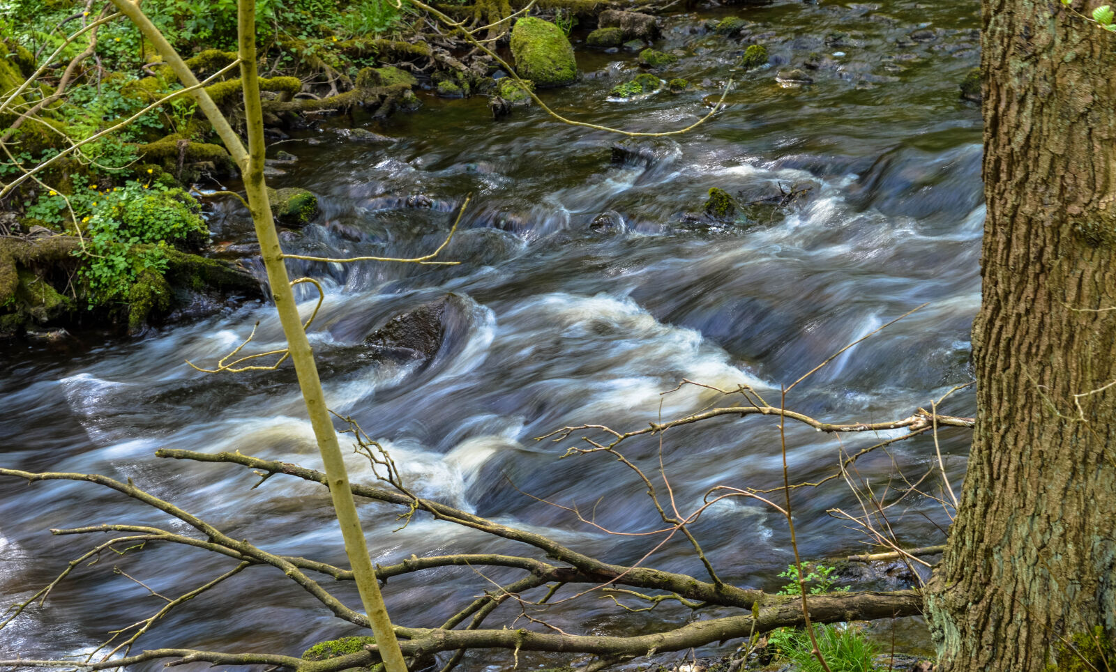 Nikon D3200 sample photo. A, local, stream, in photography