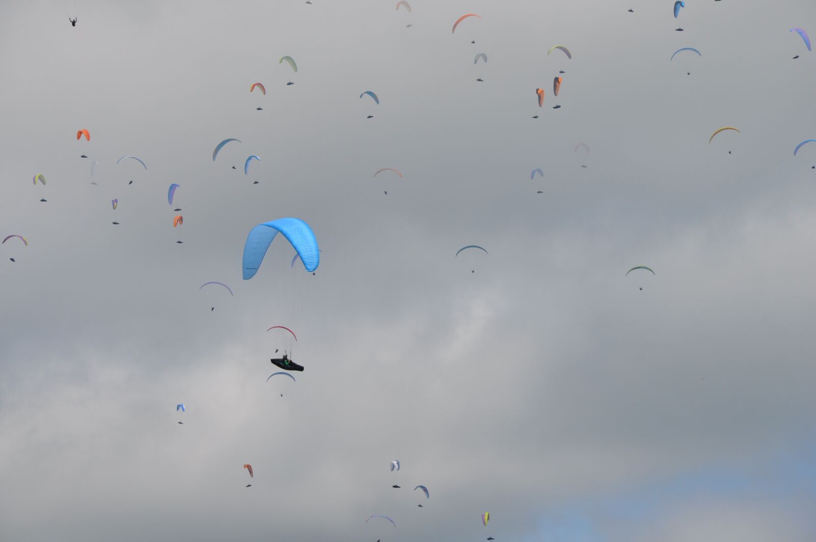 Nikon D5000 sample photo. Paragliding, italy, sky photography
