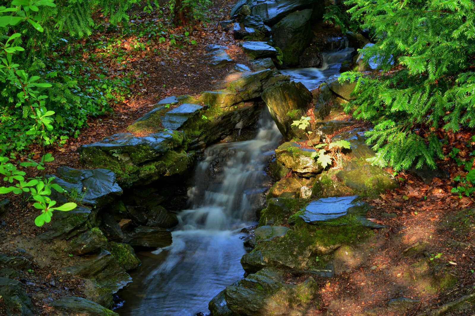 Nikon D5200 sample photo. Creek, park, water photography