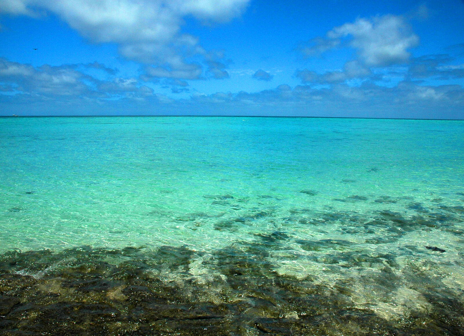Nikon D70s sample photo. Australia, blue, blue, sky photography
