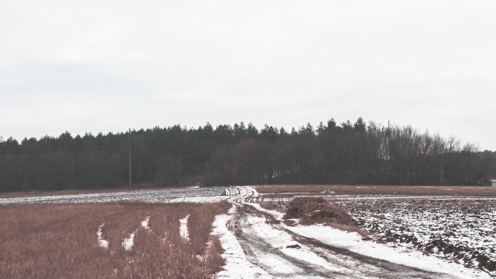 Canon EOS 700D (EOS Rebel T5i / EOS Kiss X7i) sample photo. Country, countryside, field, forest photography