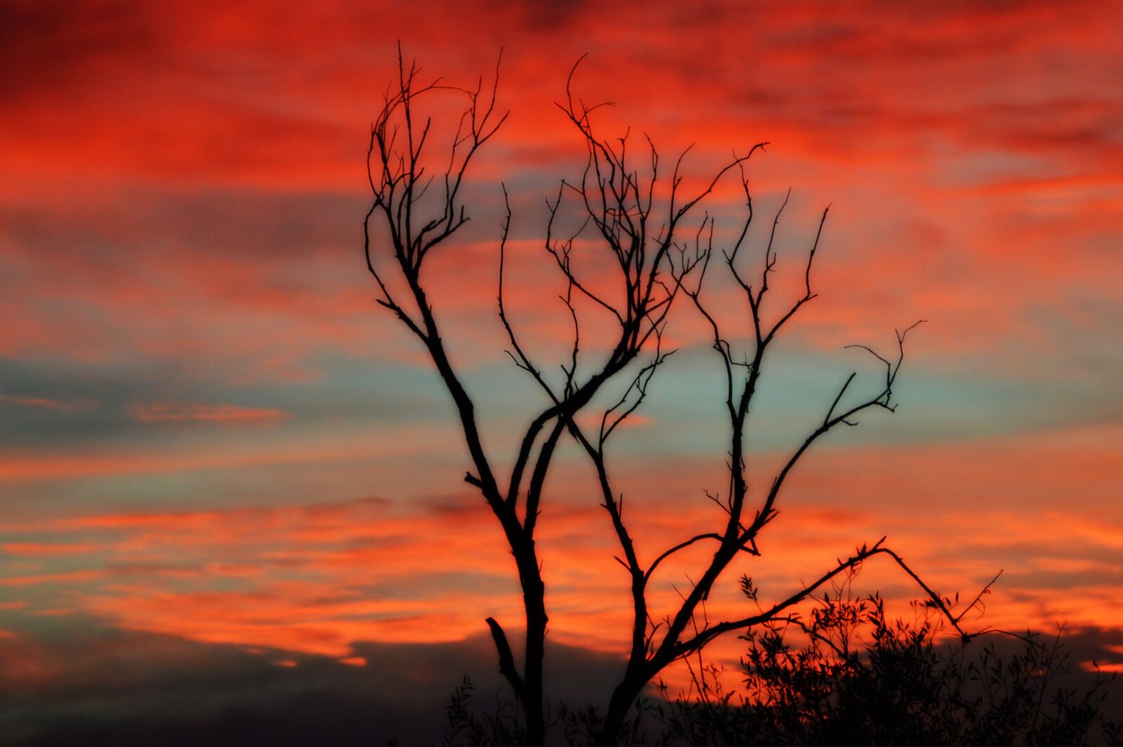 Nikon D3200 sample photo. Sunset, orange, blue photography
