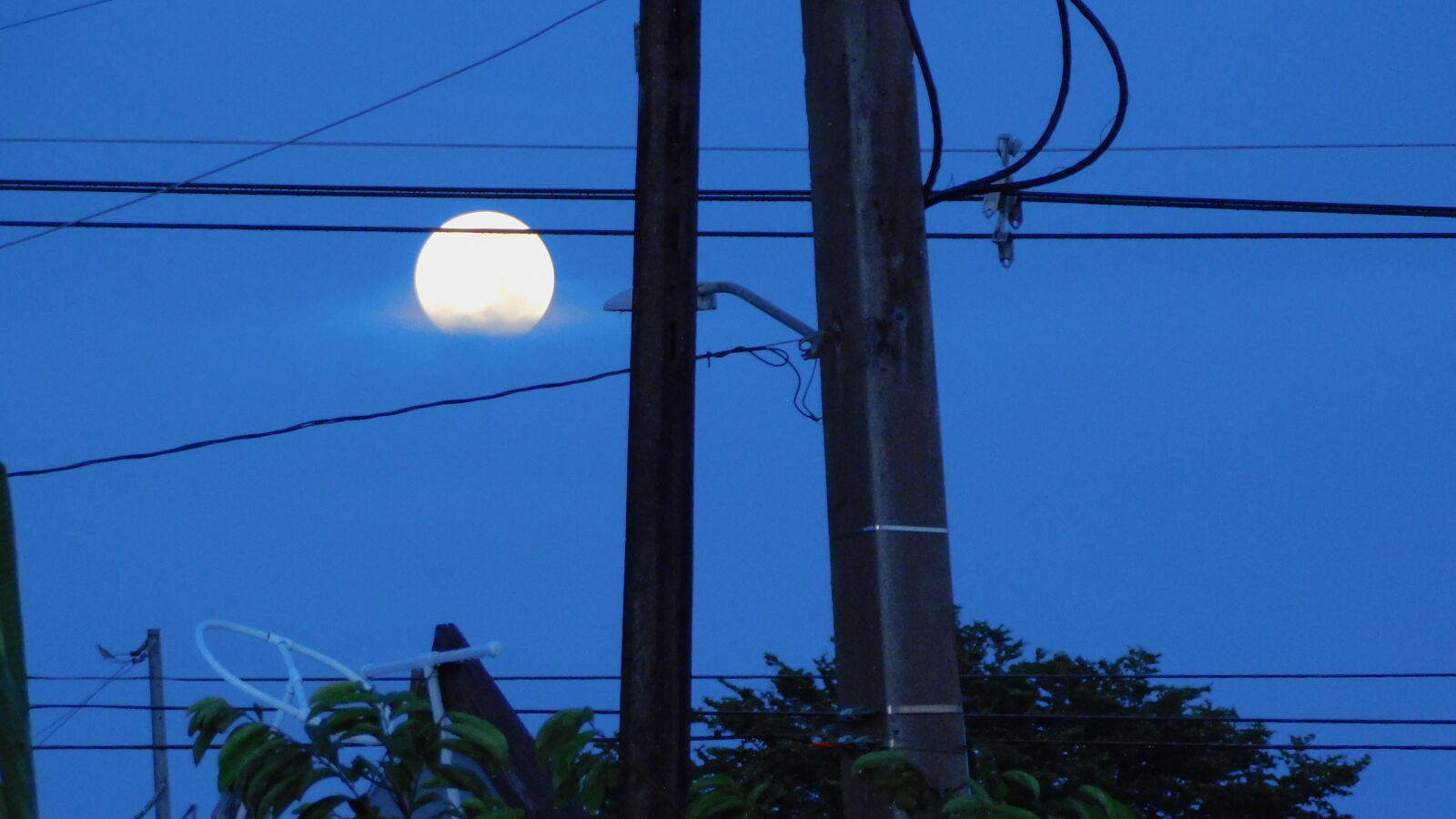 Nikon Coolpix B500 sample photo