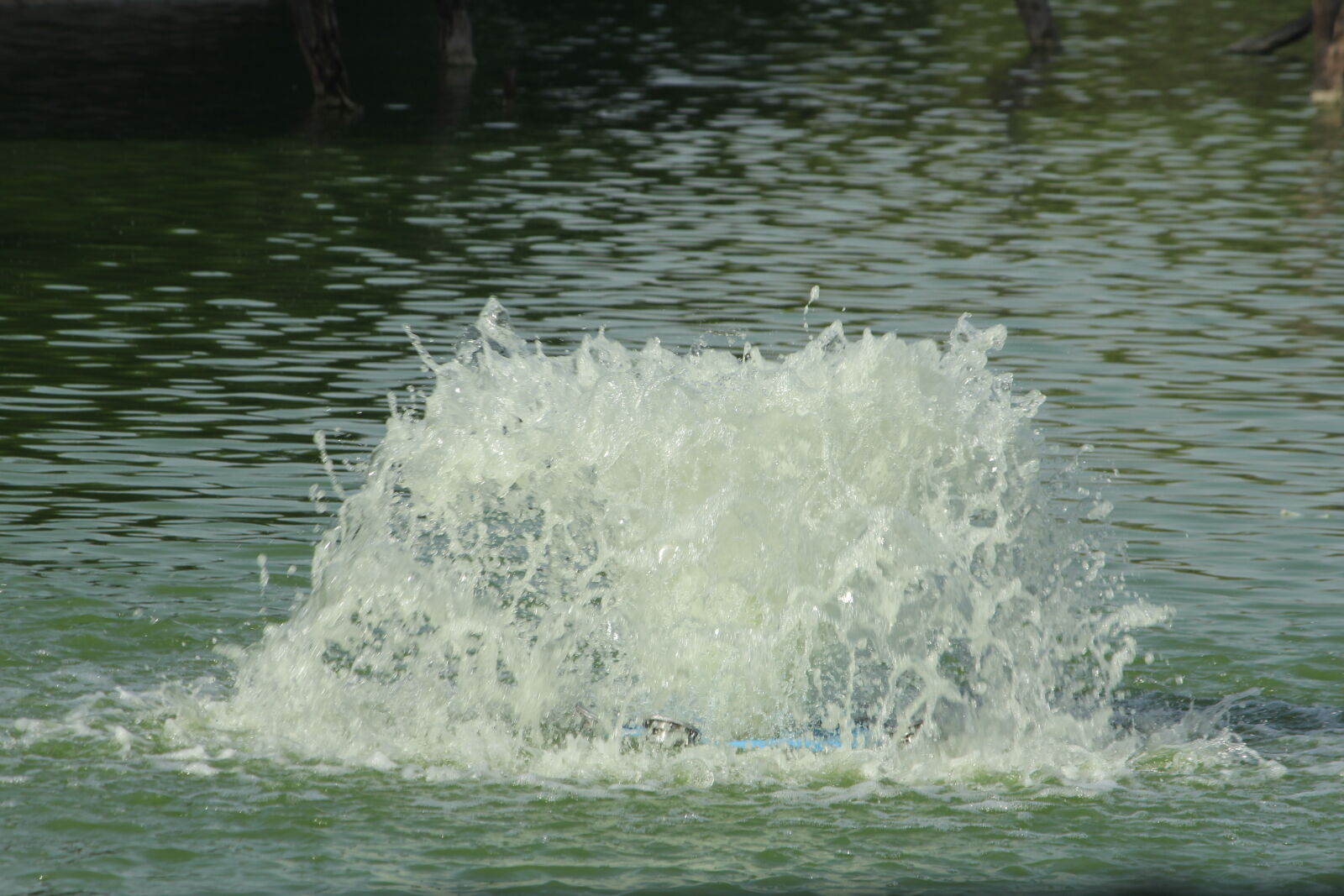 Canon EOS 60D + Canon EF-S 55-250mm F4-5.6 IS sample photo. Background, image, blue, water photography