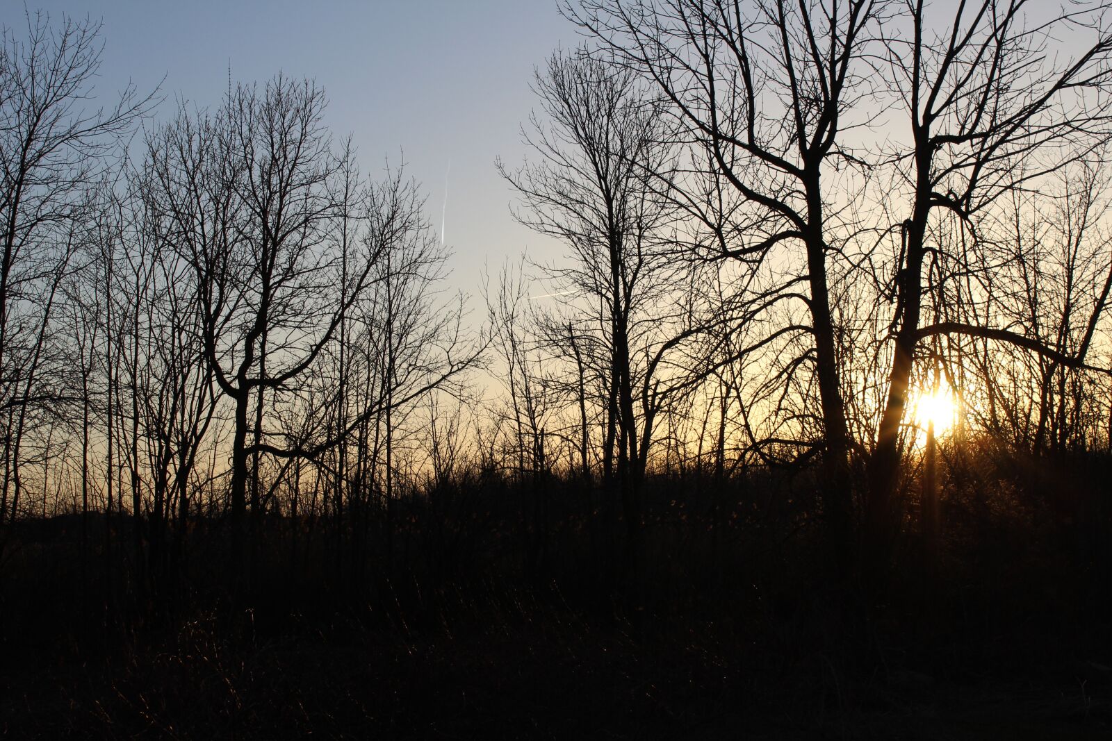 Canon EOS 1200D (EOS Rebel T5 / EOS Kiss X70 / EOS Hi) sample photo. Sunset, spring, nature photography
