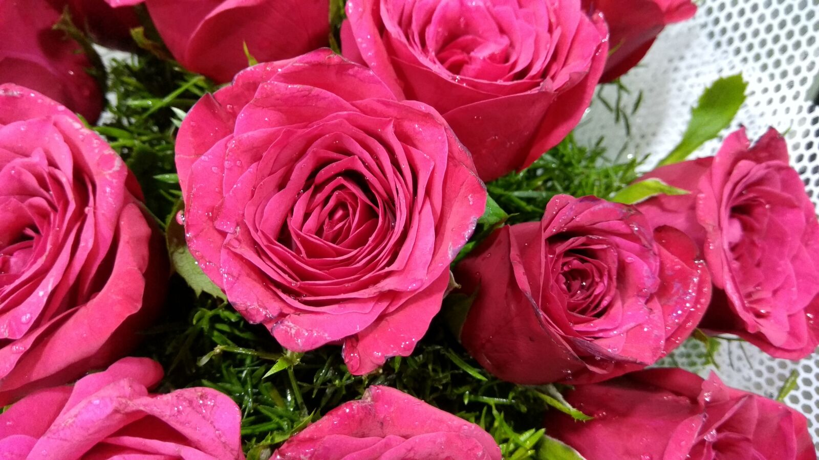 Xiaomi Redmi Note 4 sample photo. Rose, roses, bouquet photography