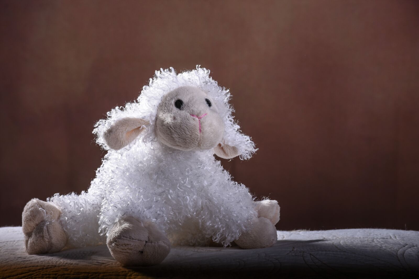 Nikon D7200 sample photo. Sheep, doggie, white photography