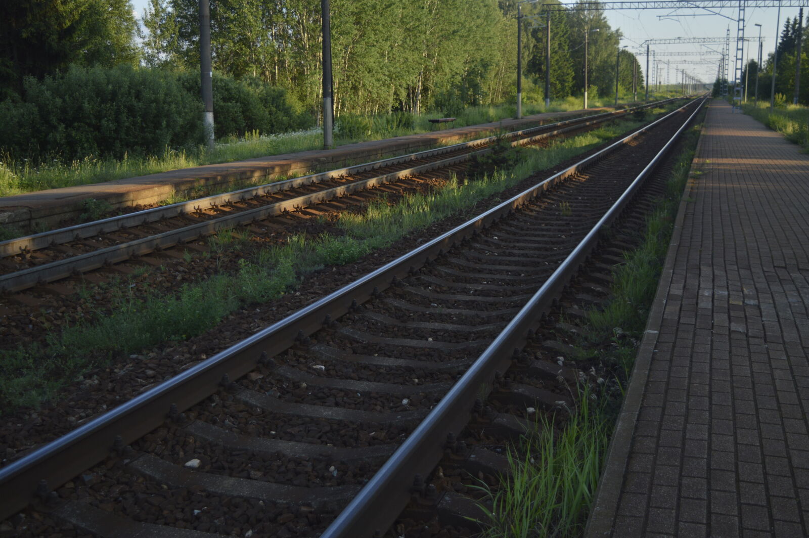 Nikon D3200 sample photo