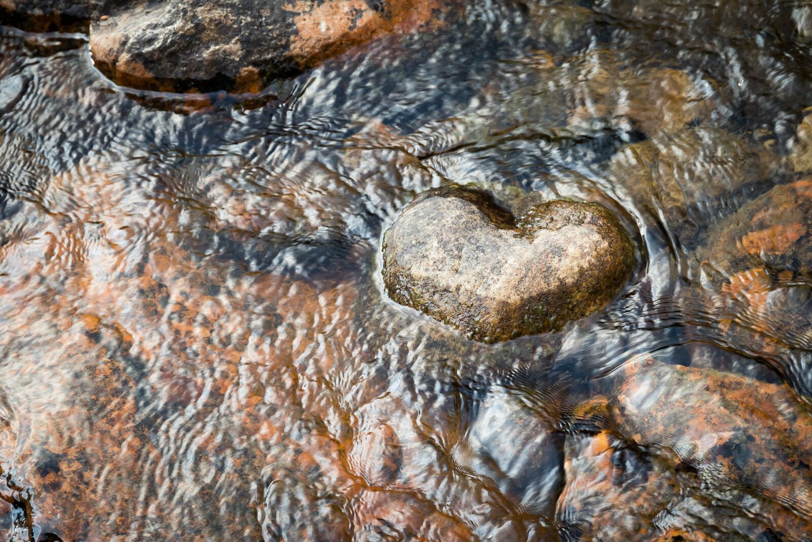 Canon EOS 6D Mark II + Canon EF 24-70mm F4L IS USM sample photo. Heart, stone, river photography