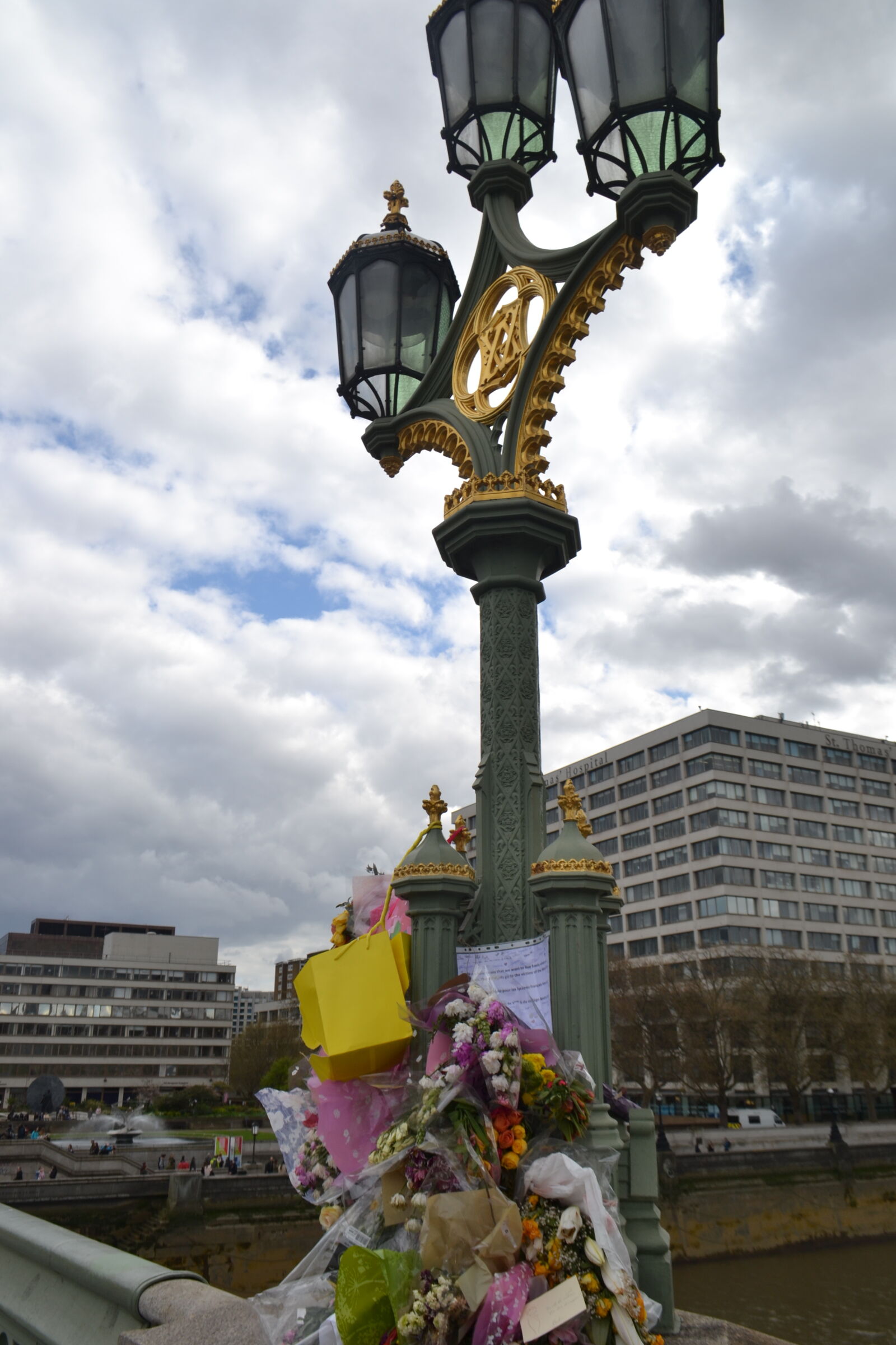 Nikon D3100 sample photo