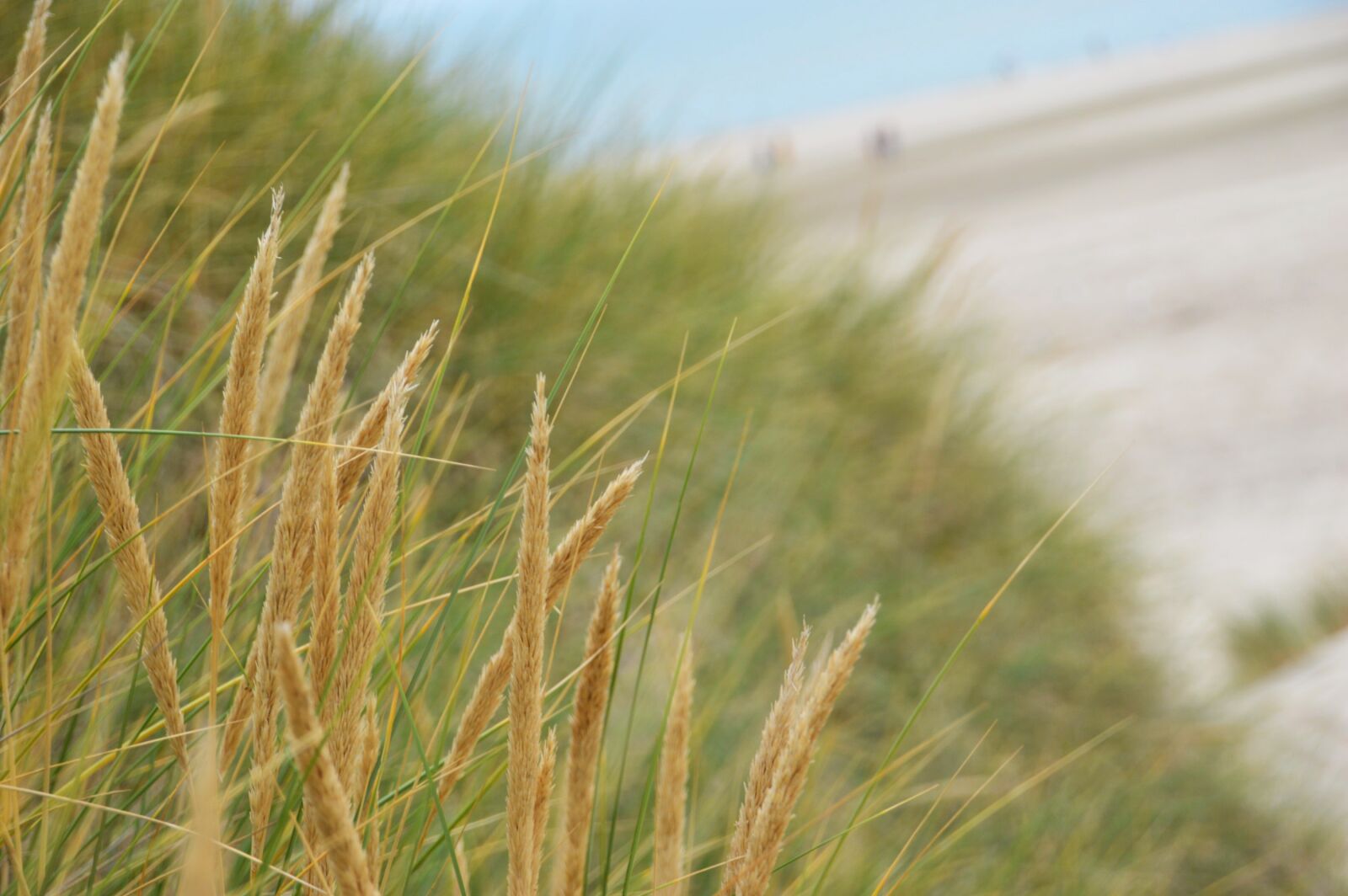 Nikon D3200 sample photo. Sea, beach, stella beach photography