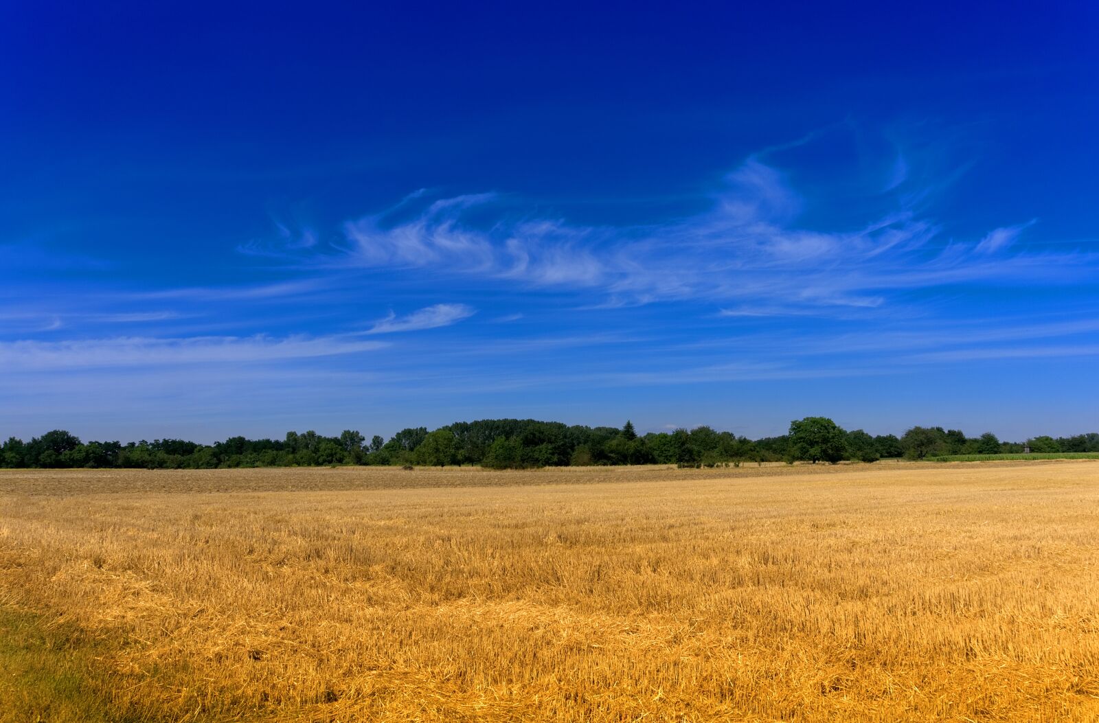 Sony a6000 sample photo. Sky, blue, field photography