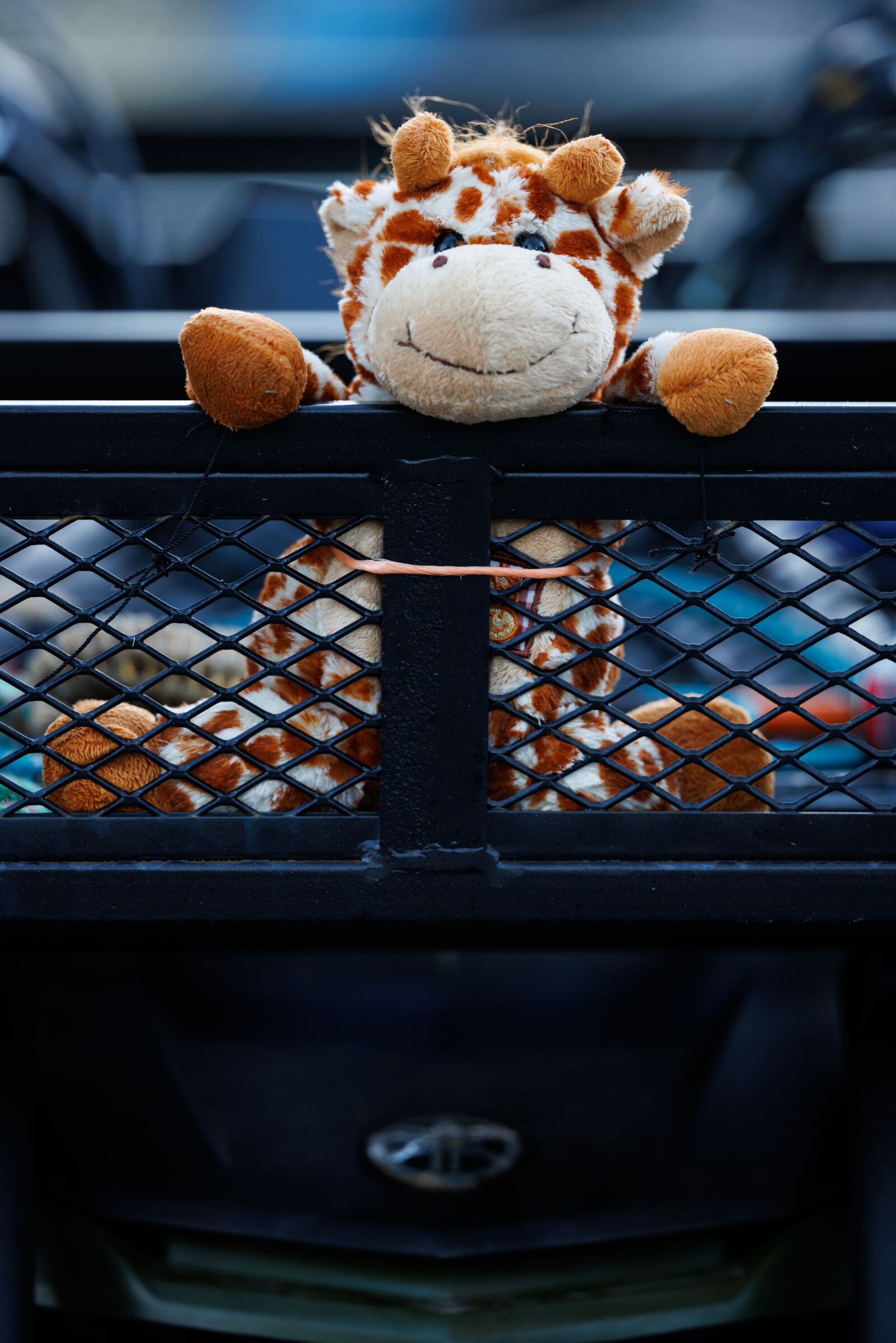 Canon EOS R5 sample photo. Maintenance toy photography