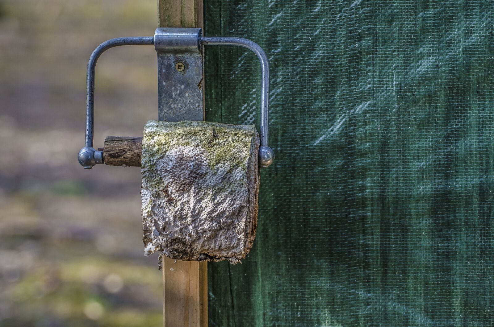 Nikon D7000 sample photo. Toilet paper, old, weathered photography