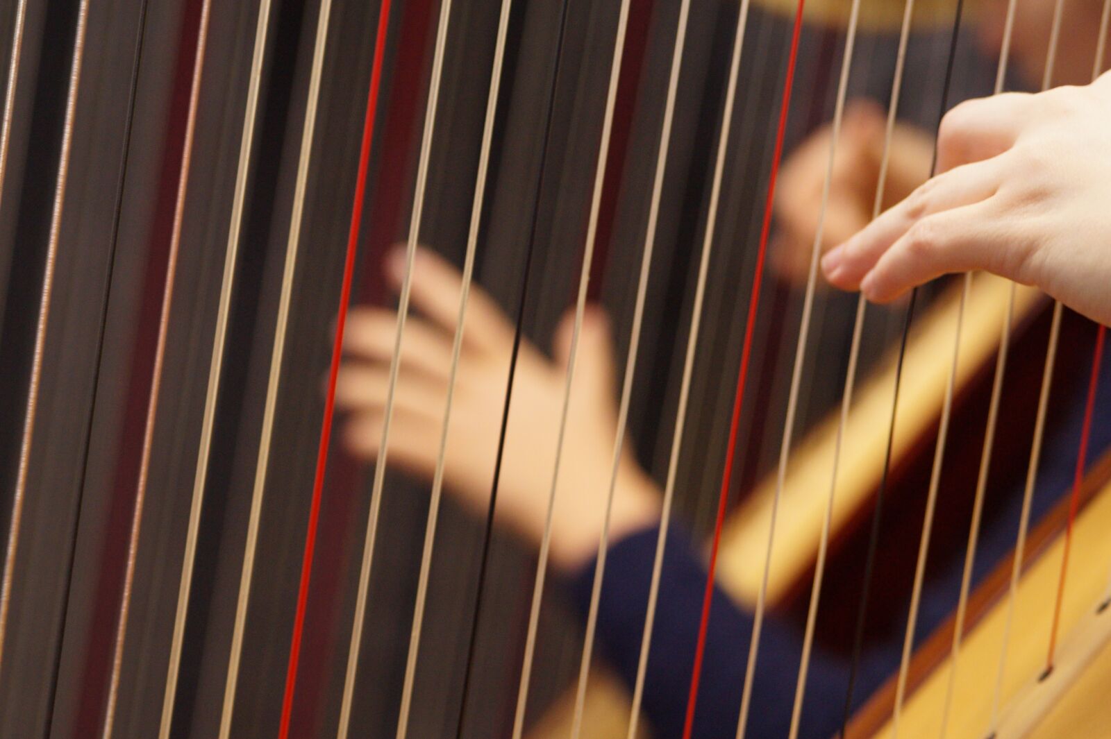 Sony SLT-A58 sample photo. Musical instrument, harp, concert photography