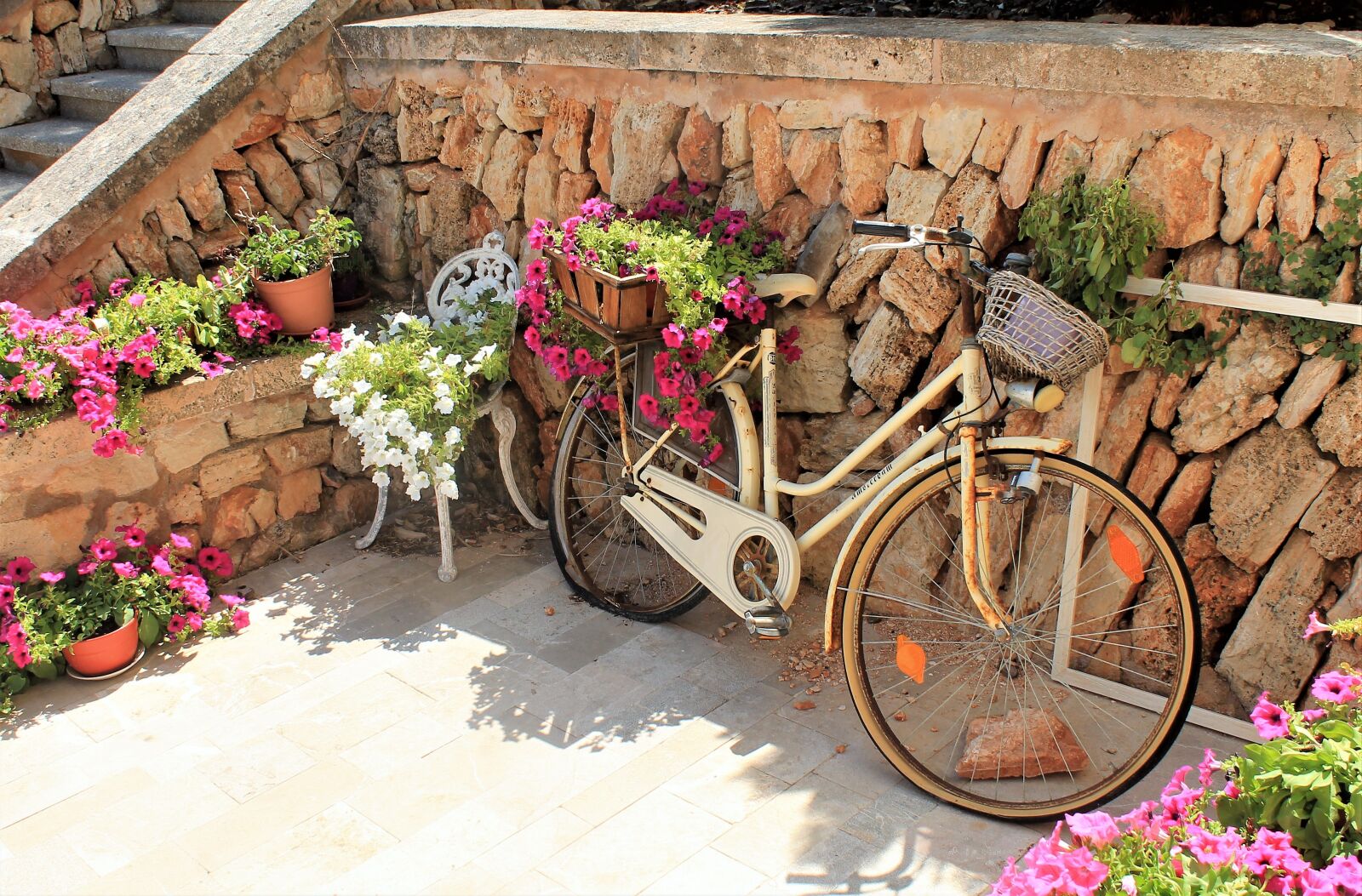 Canon EOS 1100D (EOS Rebel T3 / EOS Kiss X50) sample photo. Bike, flowers, mediterranean photography