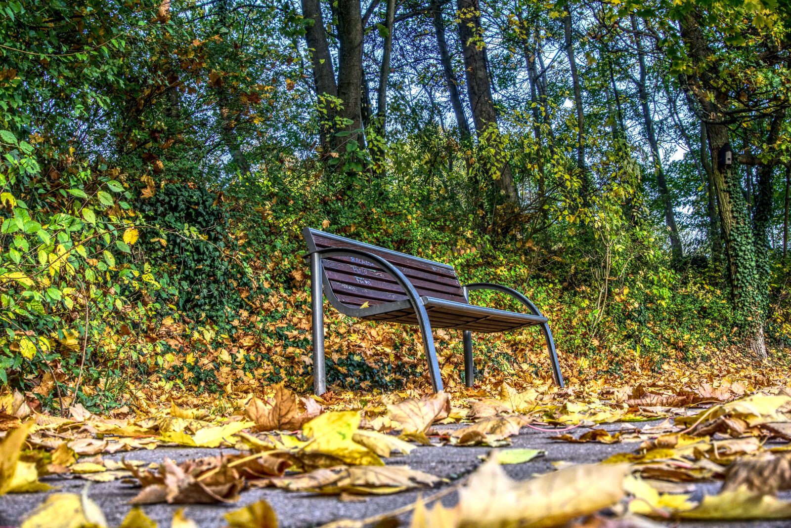 Sony a6000 sample photo. Bank, lonely, alone photography