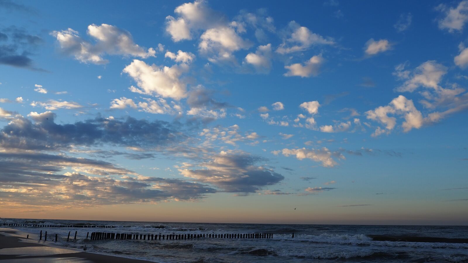 Olympus OM-D E-M10 III sample photo. Baltic sea, sea, nature photography