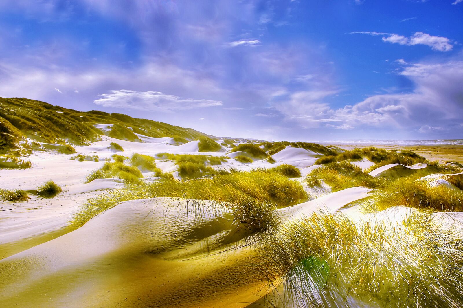 Nikon D40 sample photo. Dunes, beach, north sea photography
