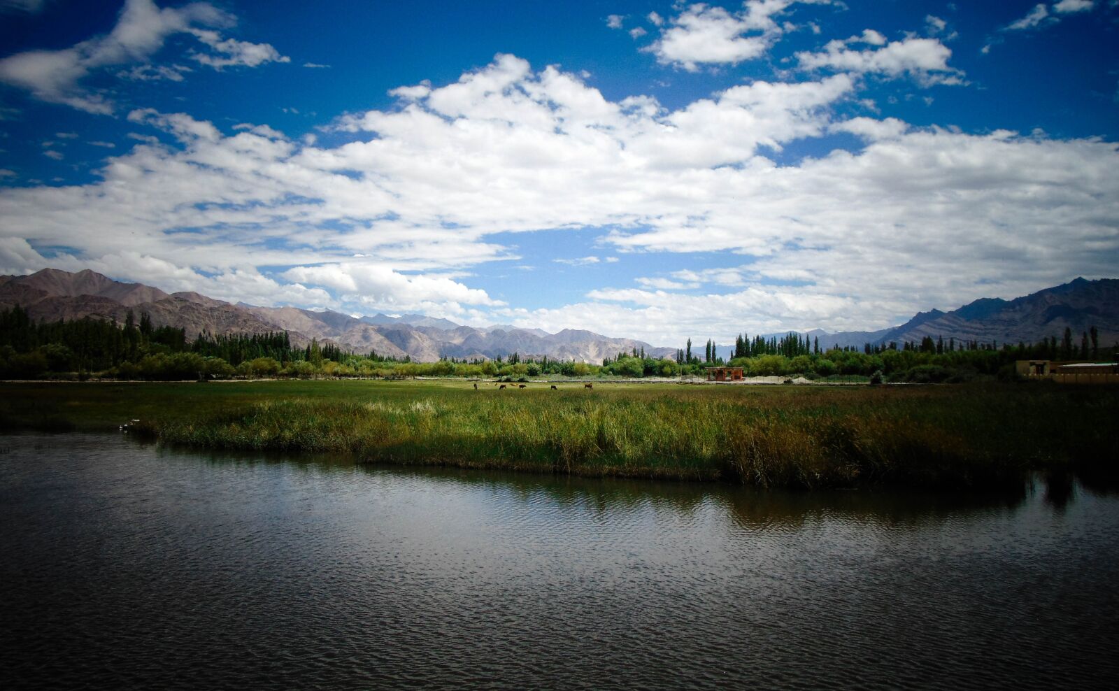 Sony Cyber-shot DSC-H300 sample photo. Landscape, nature, summer photography