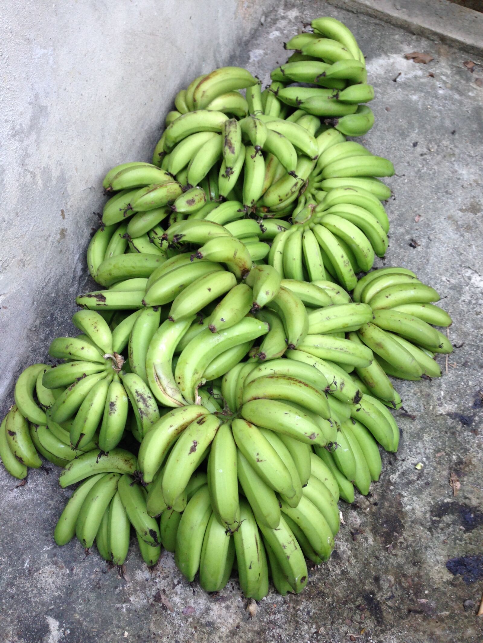 Apple iPhone 5 sample photo. Bananas photography