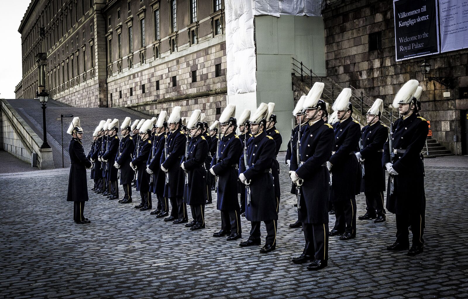 Nikon D3 sample photo. Guard of honor, stockholm photography