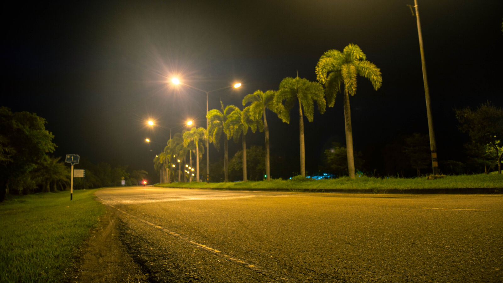 Nikon D5200 sample photo
