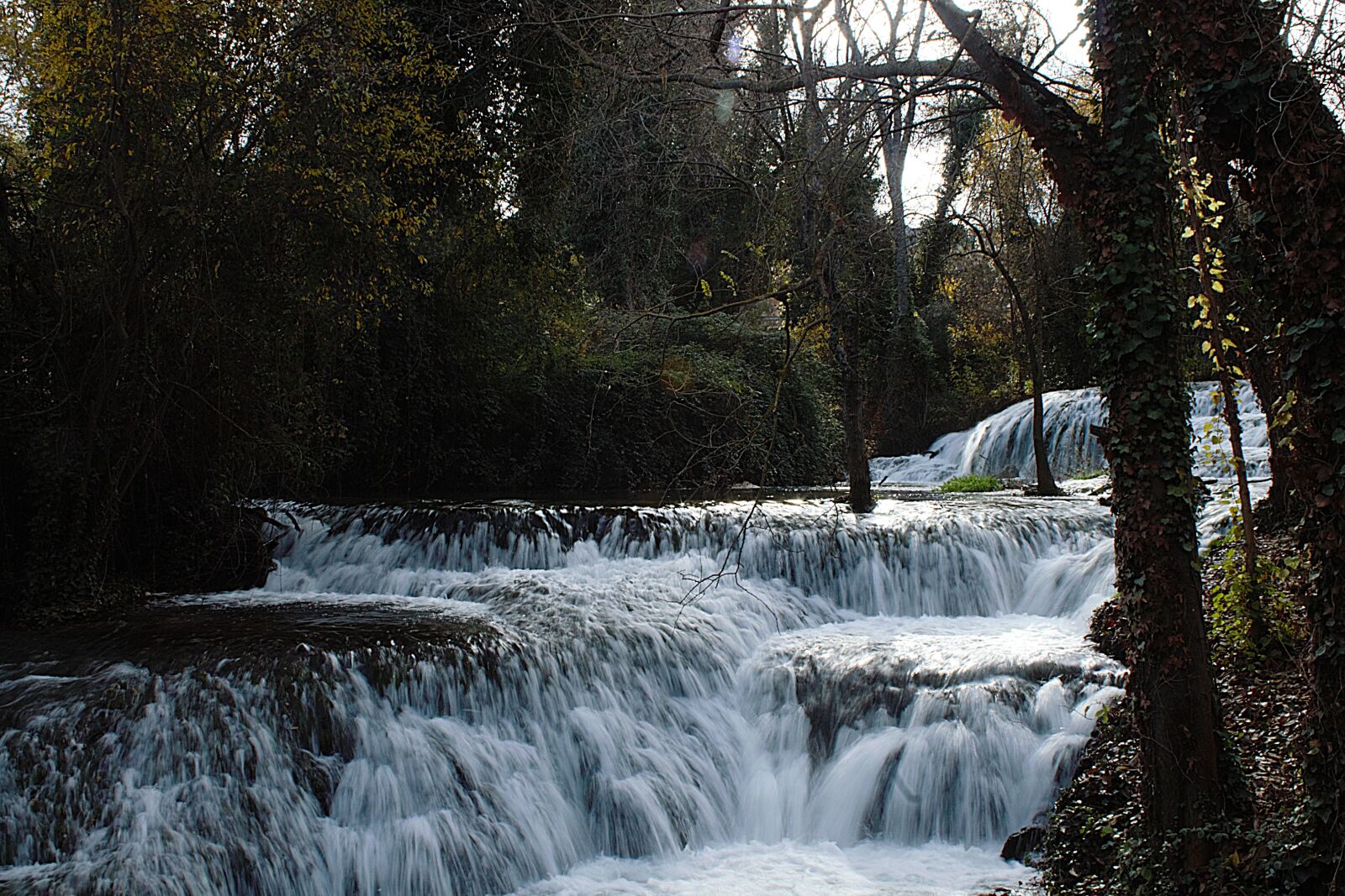 Canon EOS 1100D (EOS Rebel T3 / EOS Kiss X50) sample photo. Water, green, nature photography