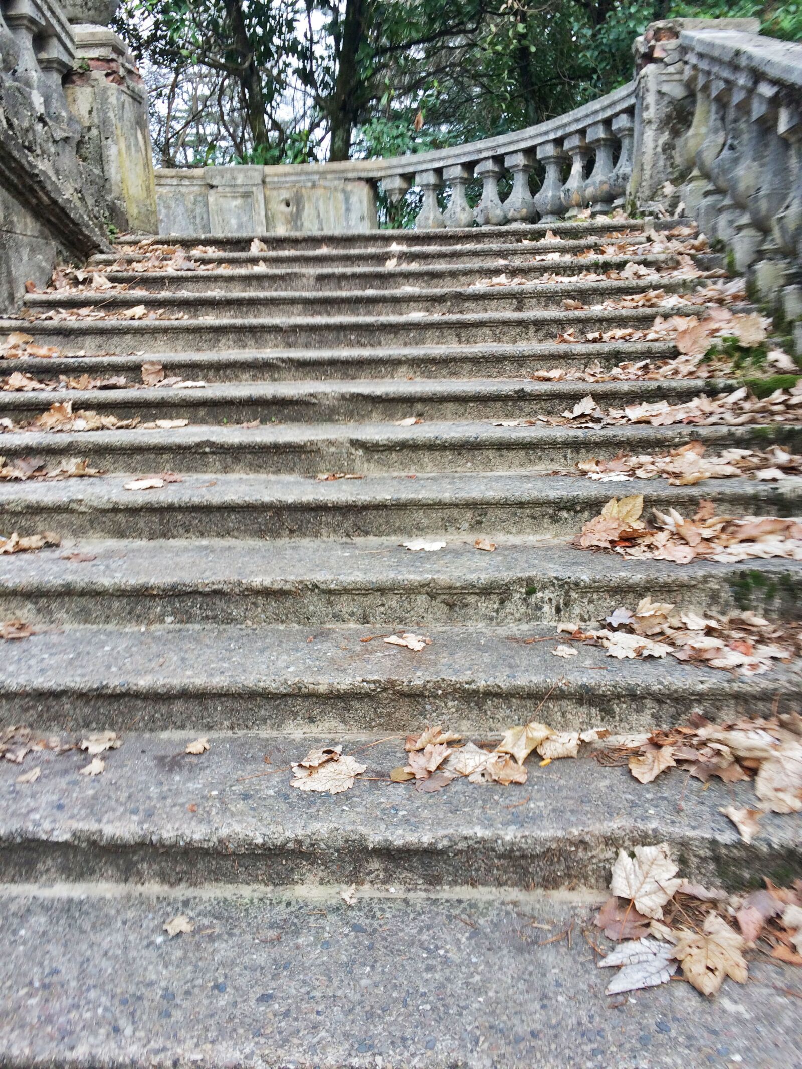iPhone 5s back camera 4.15mm f/2.2 sample photo. Ladder, autumn, steps photography