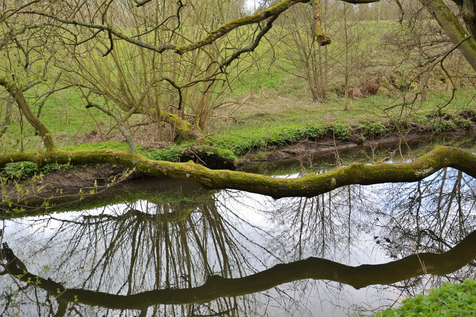 Nikon D3100 sample photo. Helsingborg, råå, råådalen photography