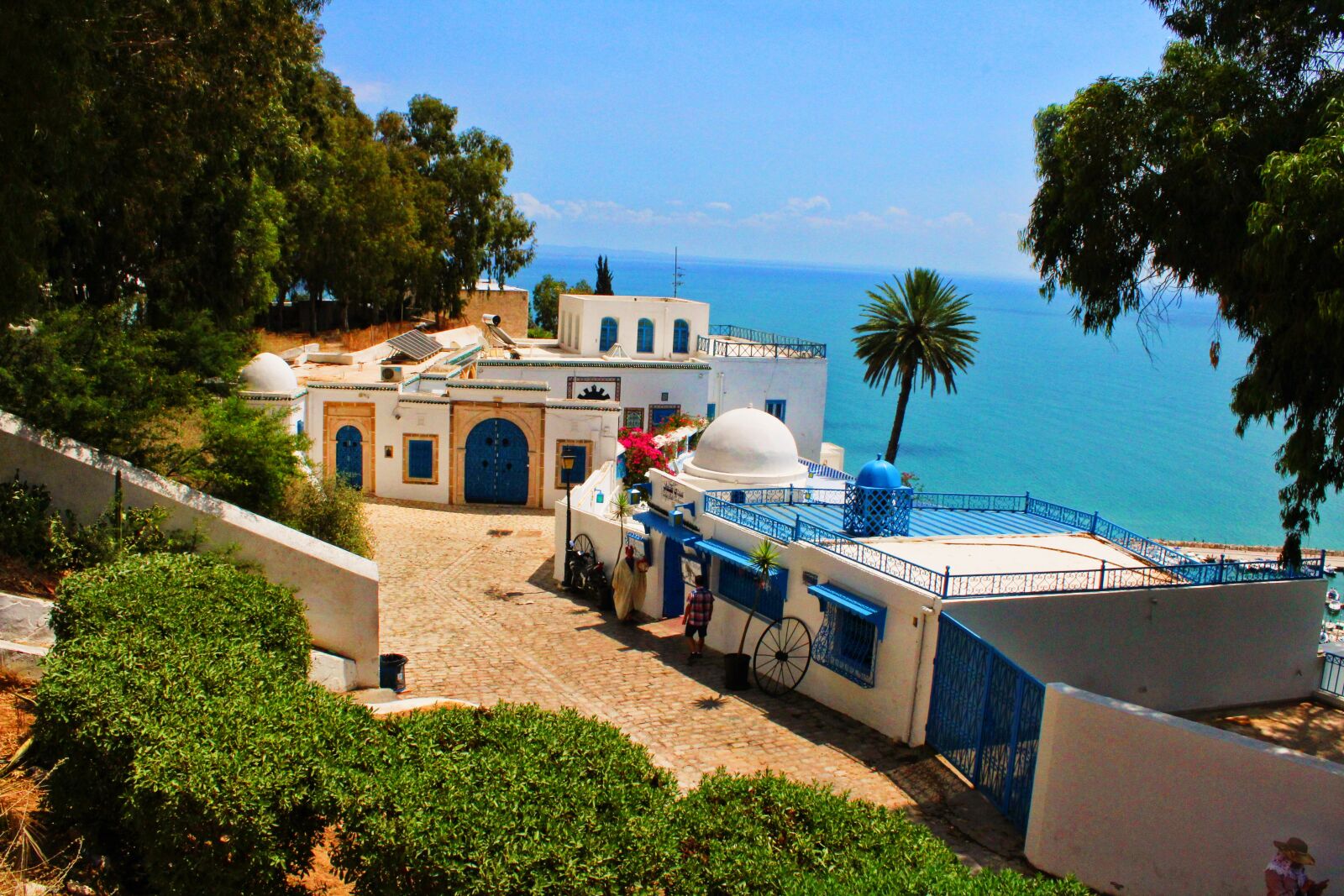 Canon EOS 1300D (EOS Rebel T6 / EOS Kiss X80) sample photo. Tunis, sidi bou said photography