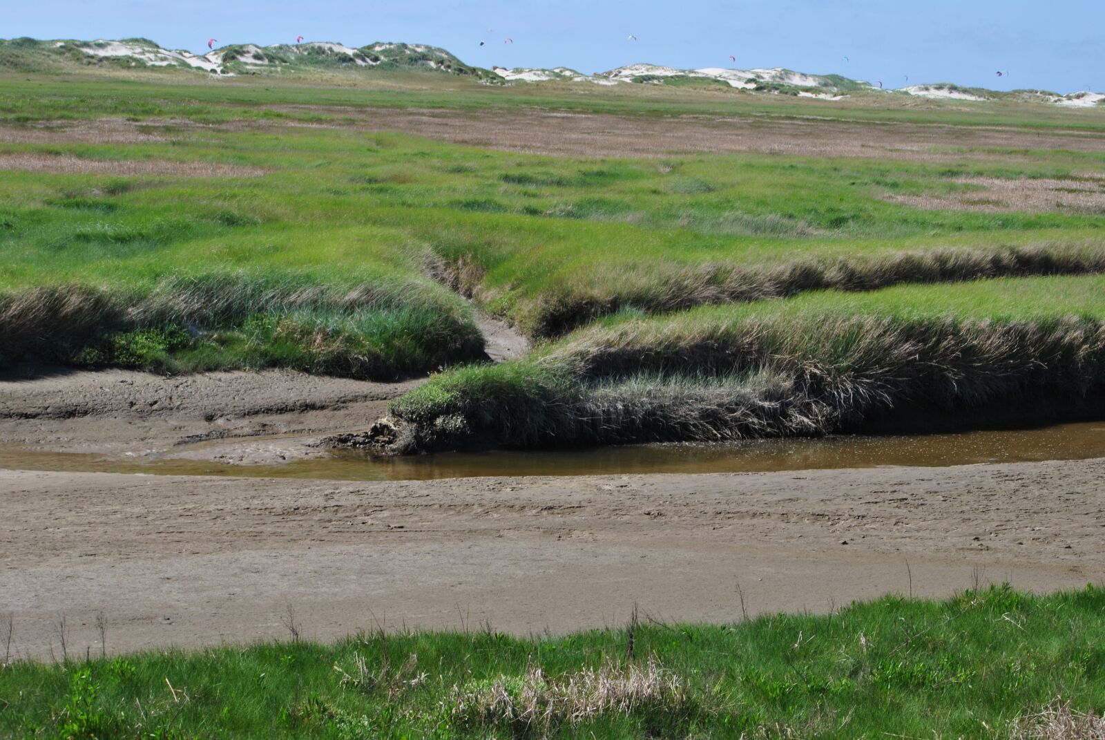 Nikon D3000 sample photo. Salt meadow, north sea photography