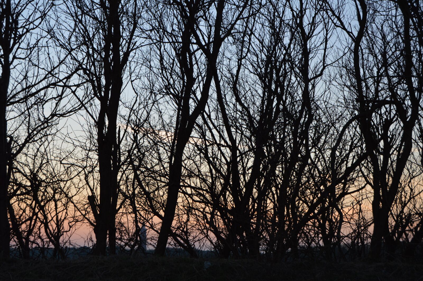 Nikon D3200 sample photo. Trees, ouddorp, holland photography