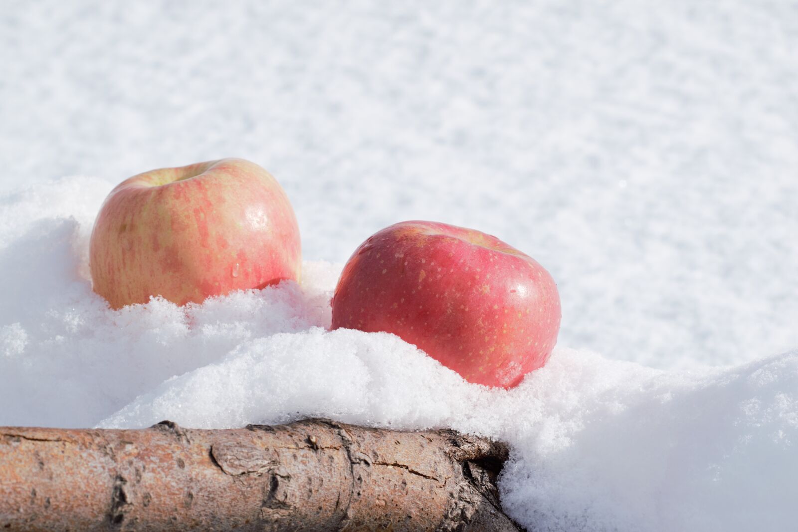 Nikon D5300 sample photo. Apples, snow, tree photography