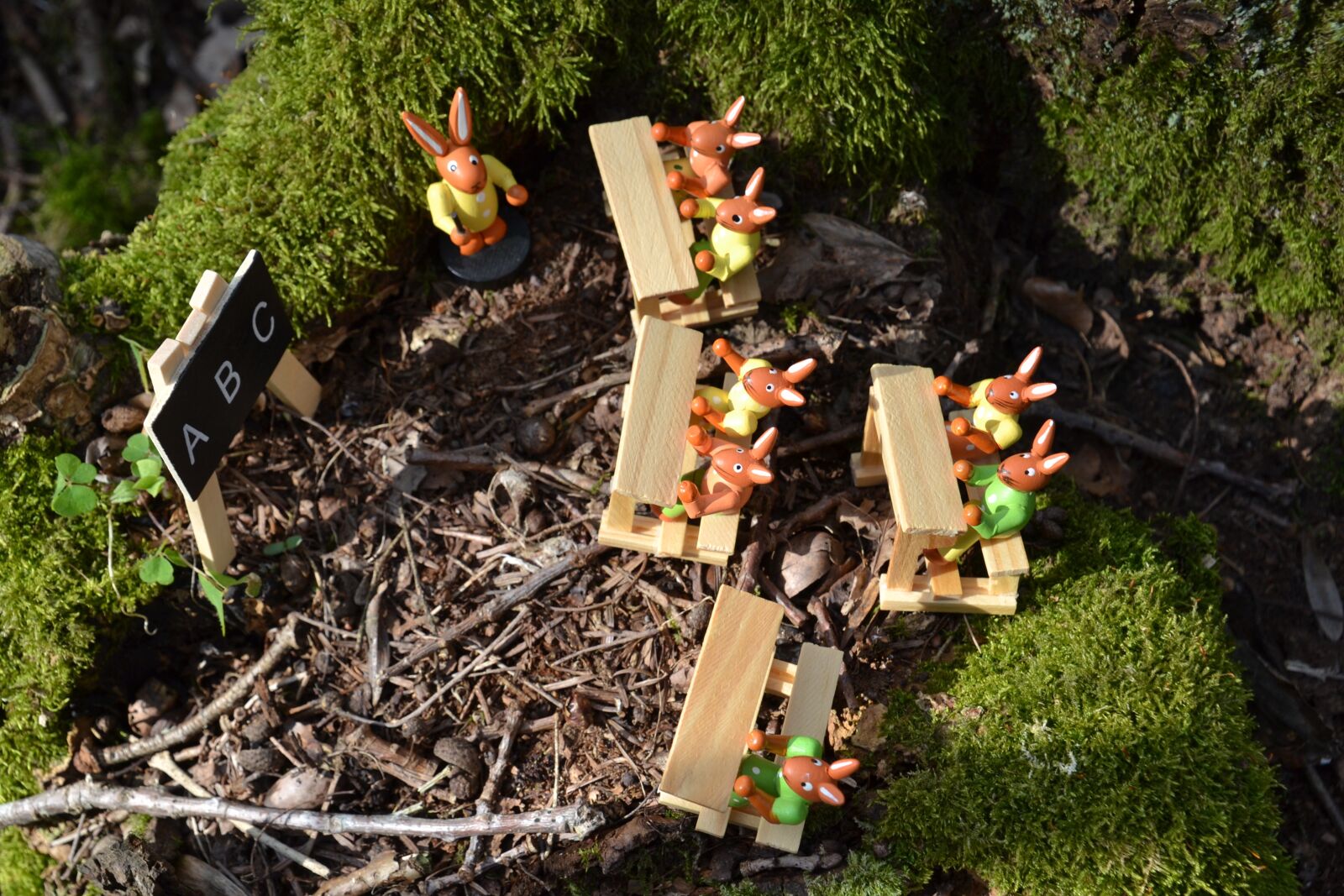 Nikon D3100 sample photo. Easter, rabbit, hare school photography
