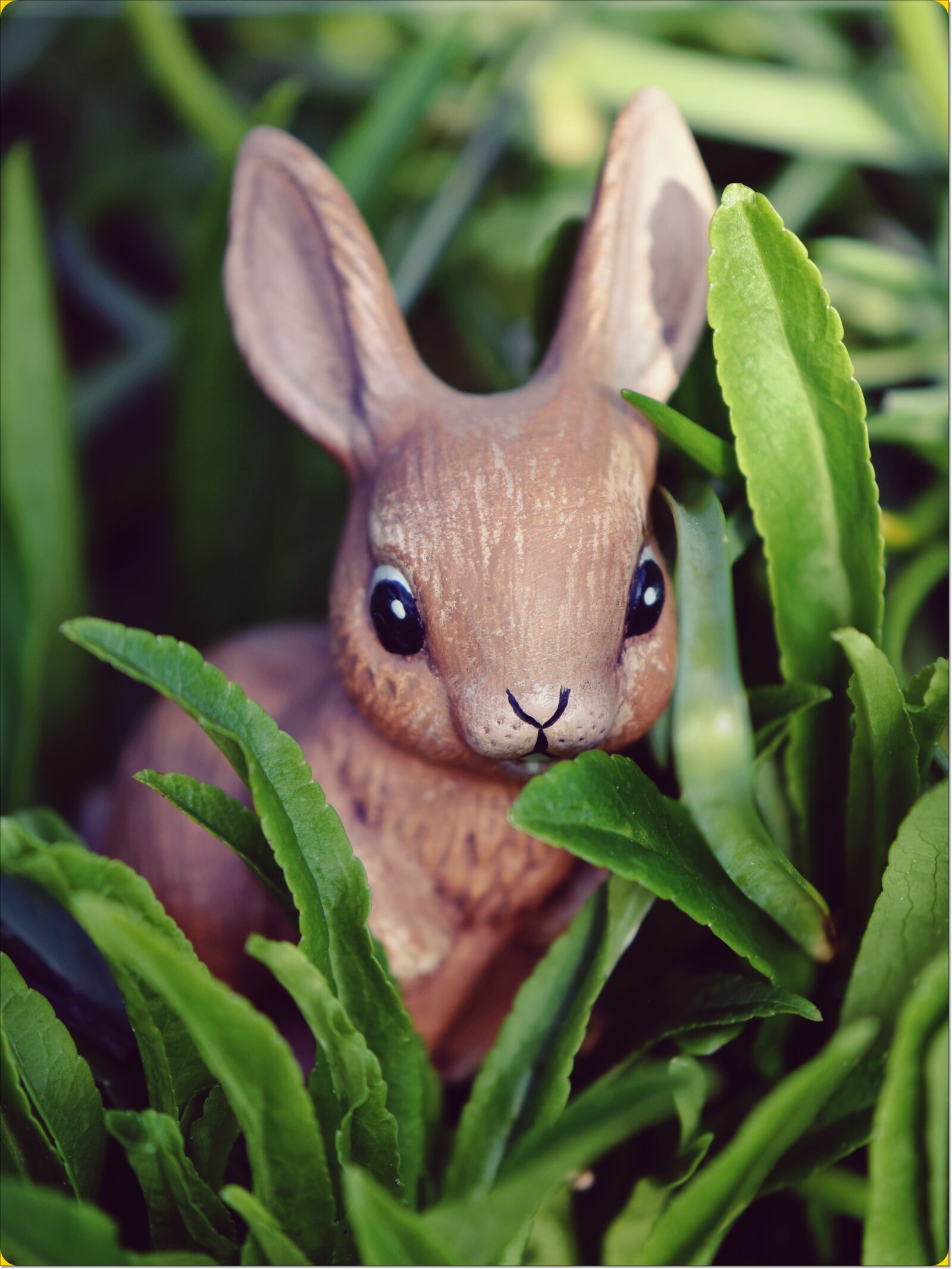 Nikon D5600 sample photo. Easter bunny, hare, easter photography