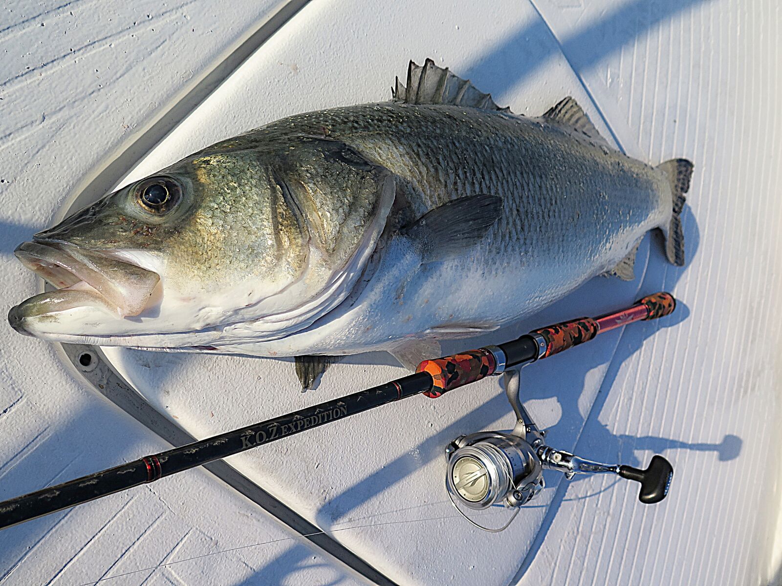 Canon PowerShot G16 sample photo. Fish, sea, traditional fishing photography