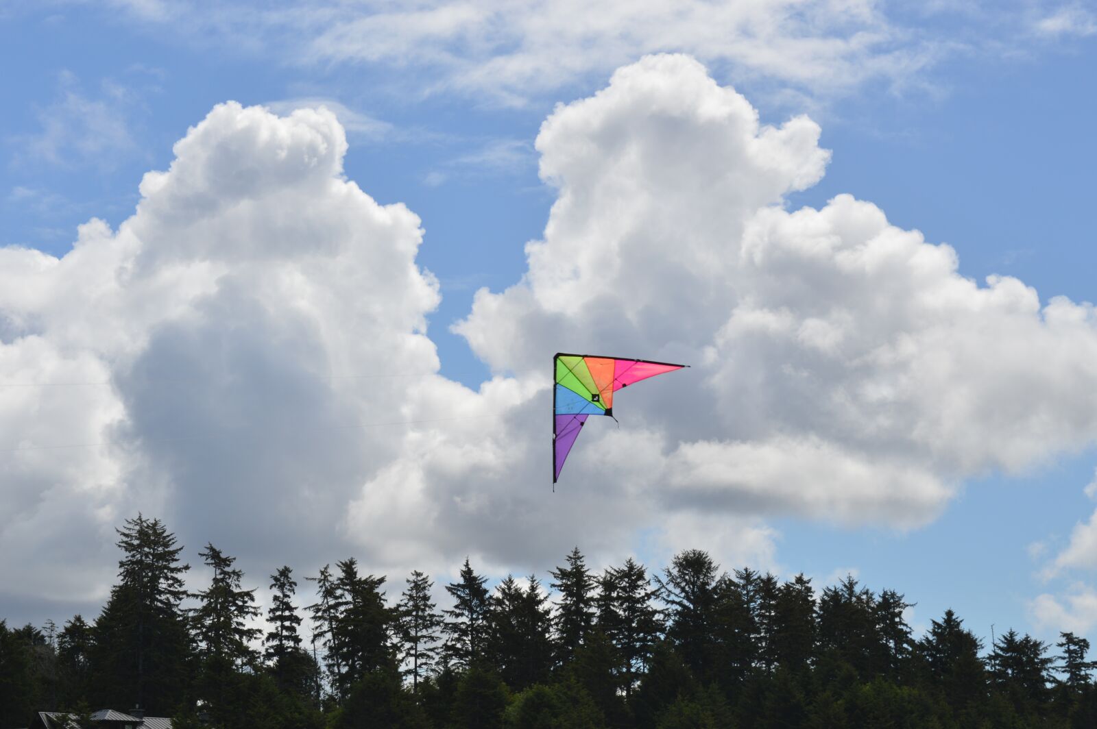 Nikon D3200 sample photo. Blue sky, clouds, trees photography