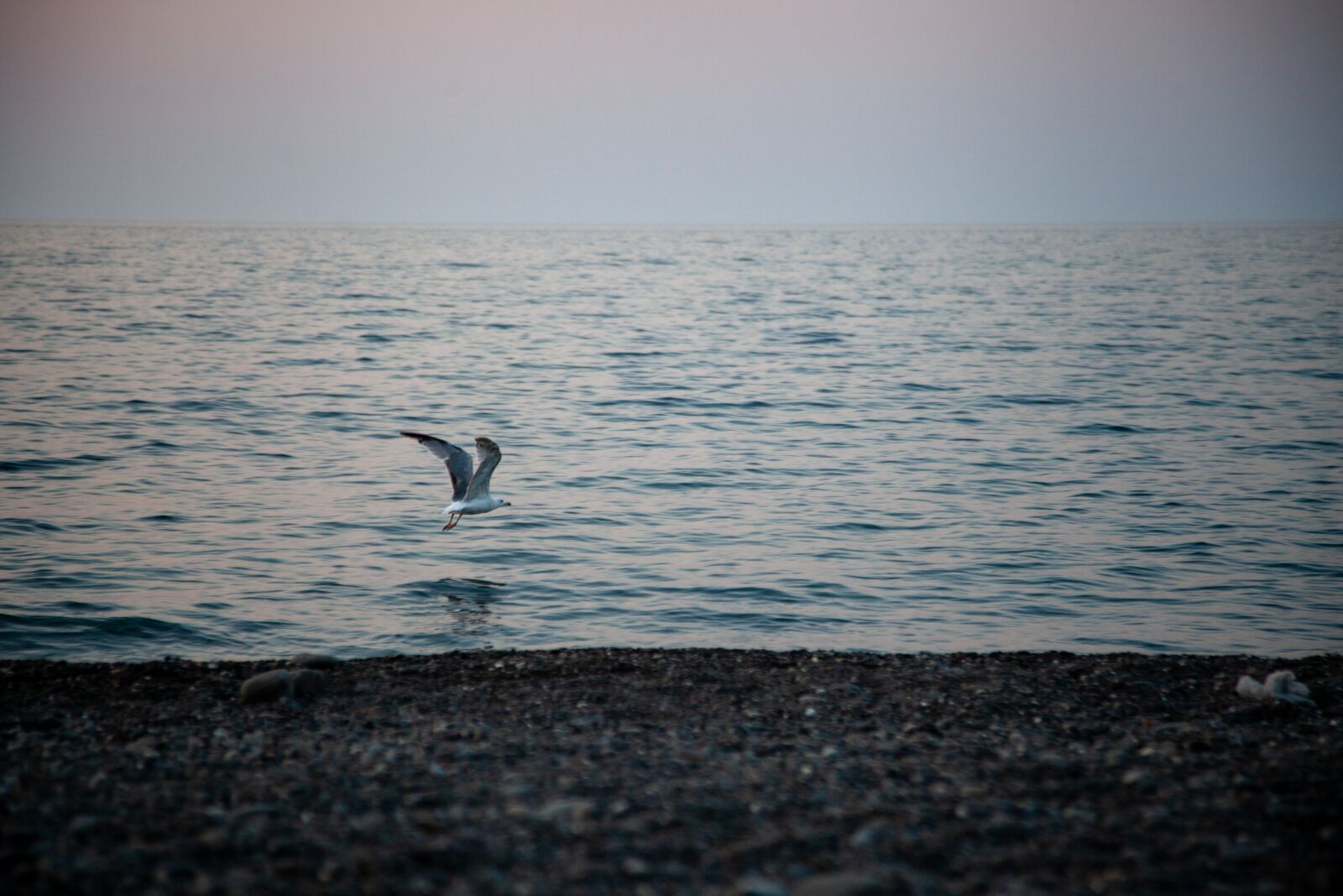 Canon EOS 5D Mark II sample photo. Sea, dawn, beach photography