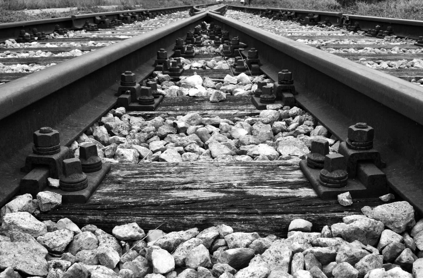 Nikon D3300 sample photo. Track, railroad track, rails photography
