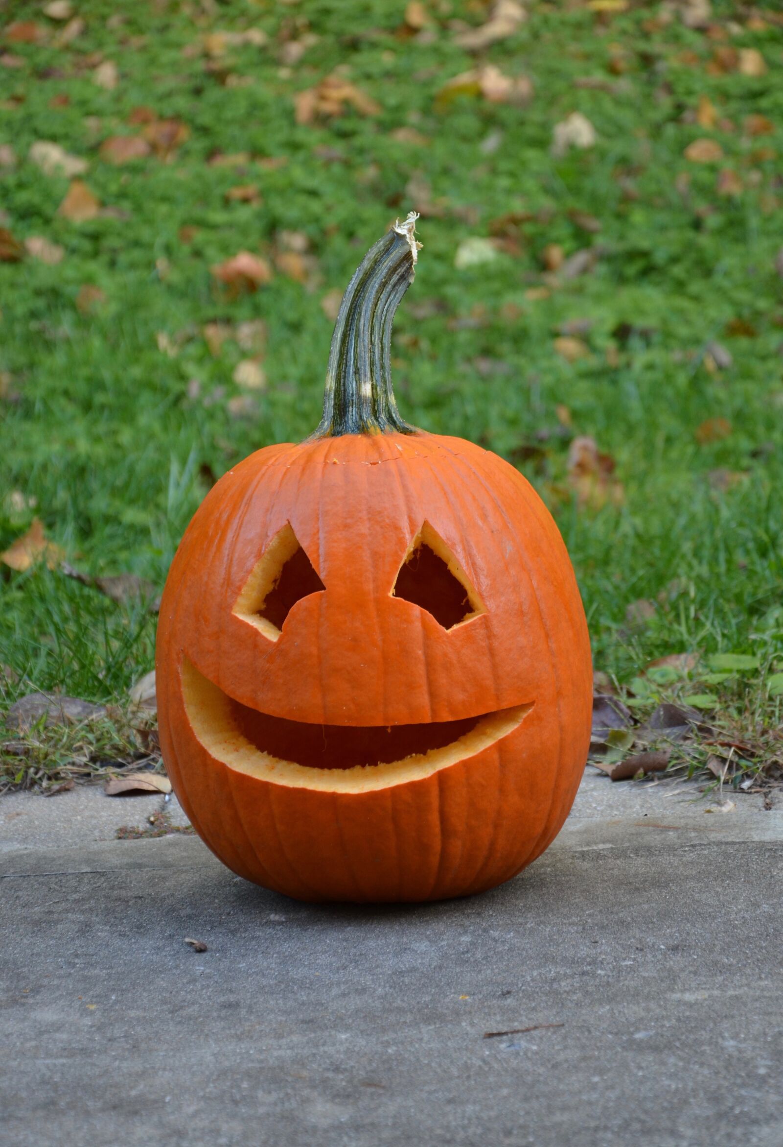 Nikon D7000 sample photo. Fall, pumpkin, halloween photography