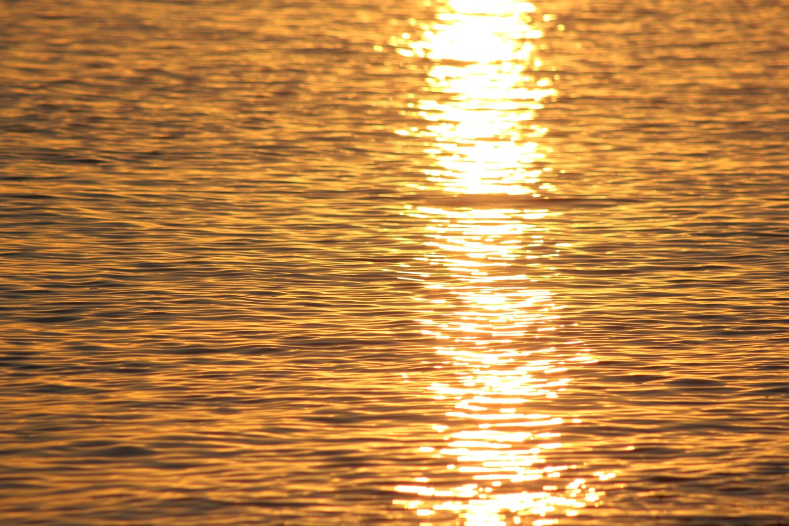 Canon EOS 550D (EOS Rebel T2i / EOS Kiss X4) sample photo. Sun, sunset, reflection photography