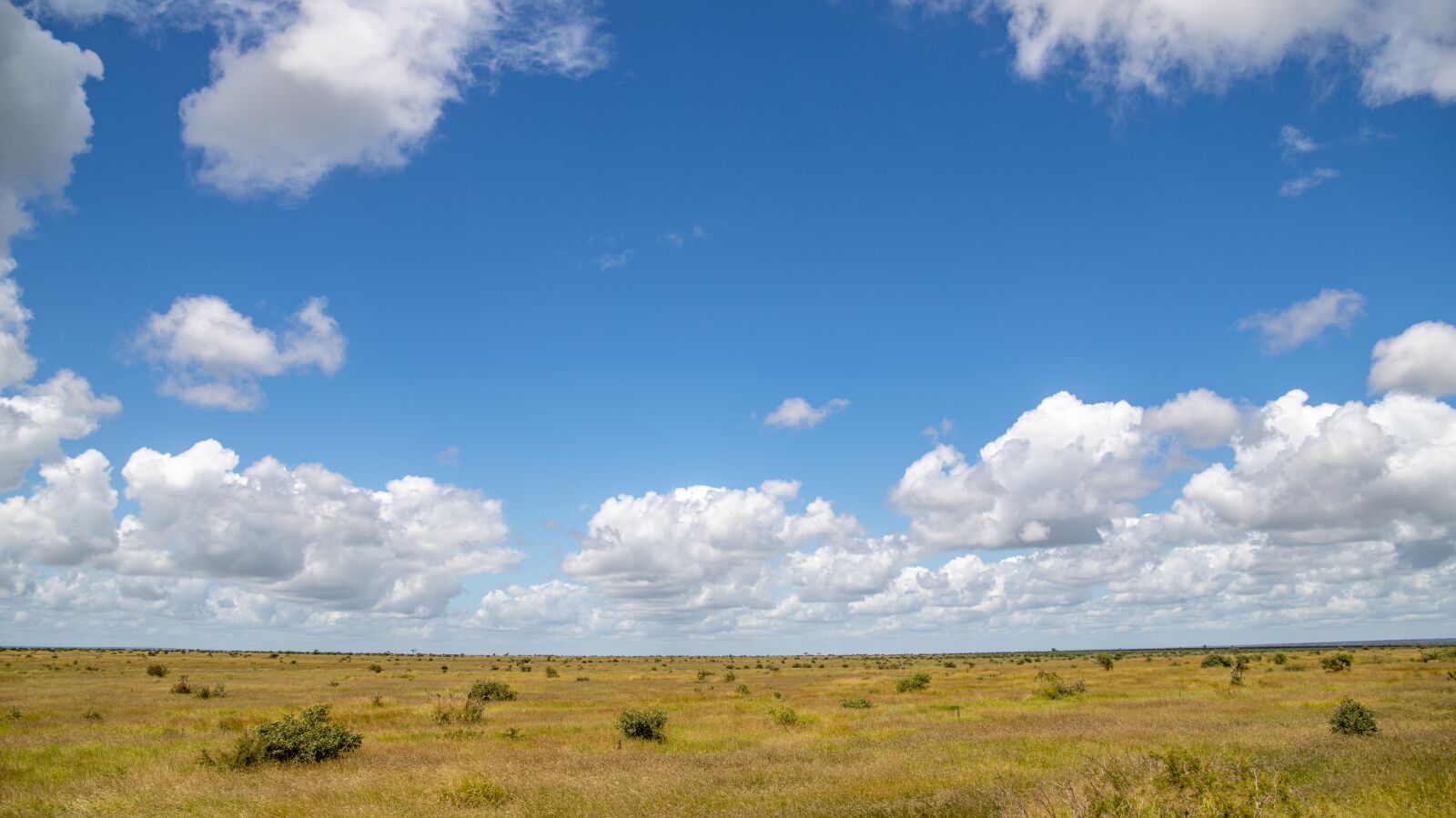 Canon EOS 6D Mark II sample photo. Landscape, bush, clouds photography