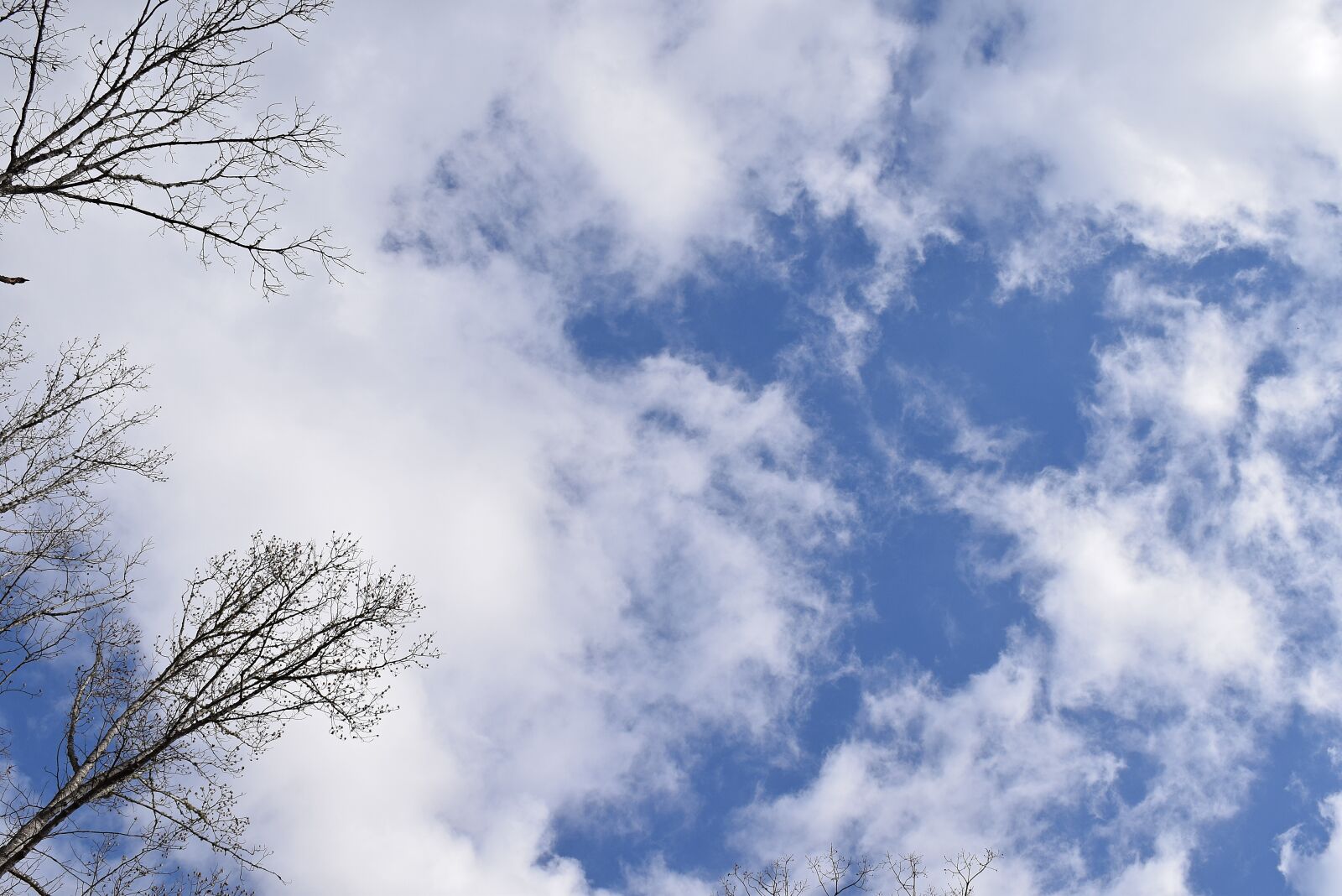 Nikon D3300 sample photo. Wispy clouds, blue sky photography